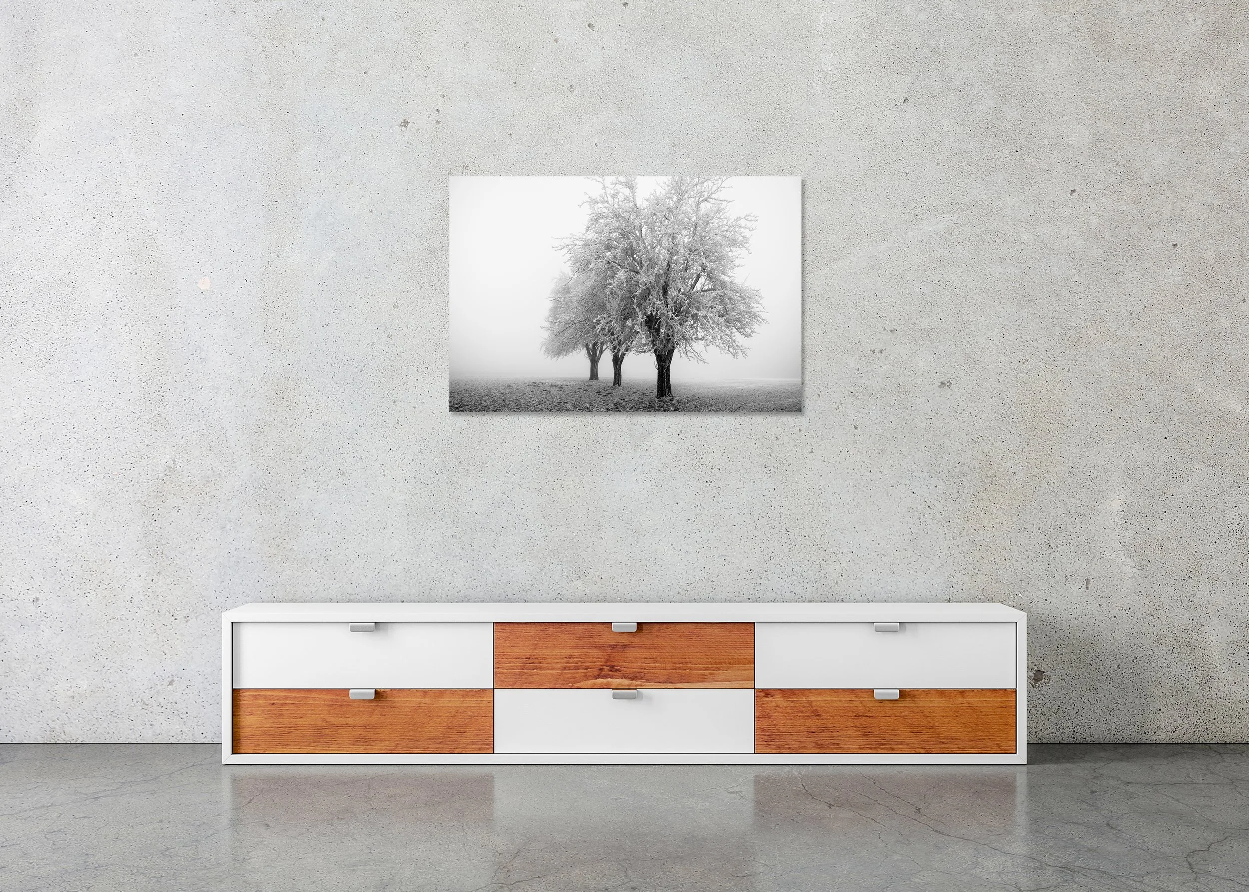 Frozen Apple Trees Study 3 displayed in a modern interior as a frameless black-and-white aluminium Dibond print by Gerald Berghammer.
