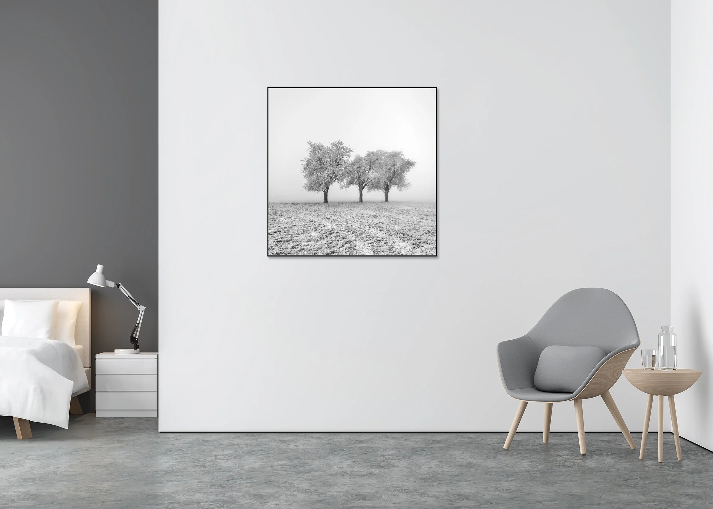 Frozen Apple Trees Study 1 displayed in a modern interior, mounted on aluminium Dibond in a black ArtBox frame by Gerald Berghammer.