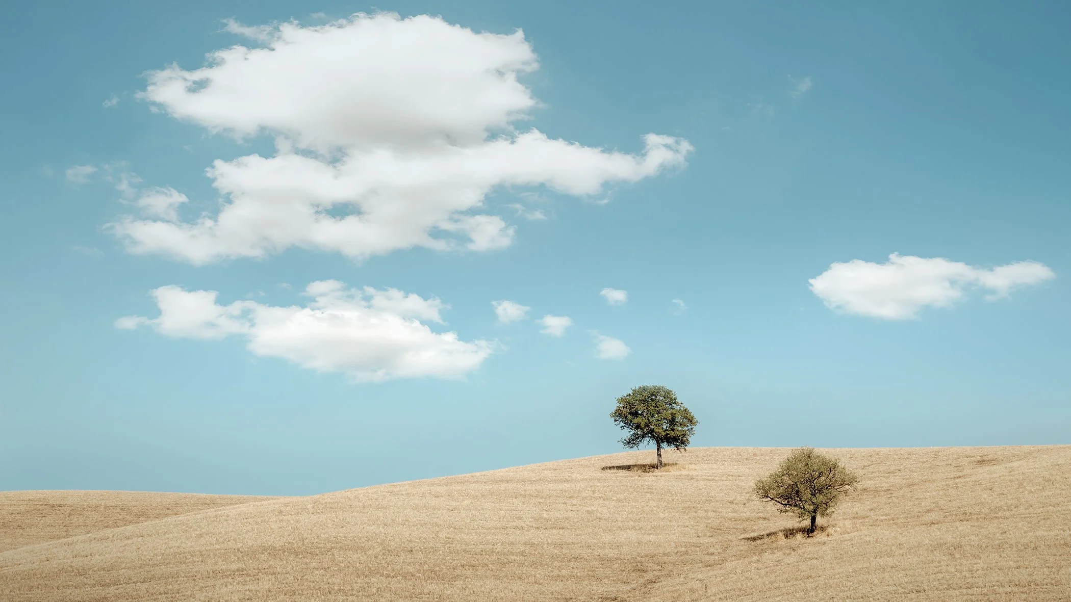 Peaceful hillscape with lone trees on golden farmland beneath a clear blue sky. Photo by Gerald Berghammer.