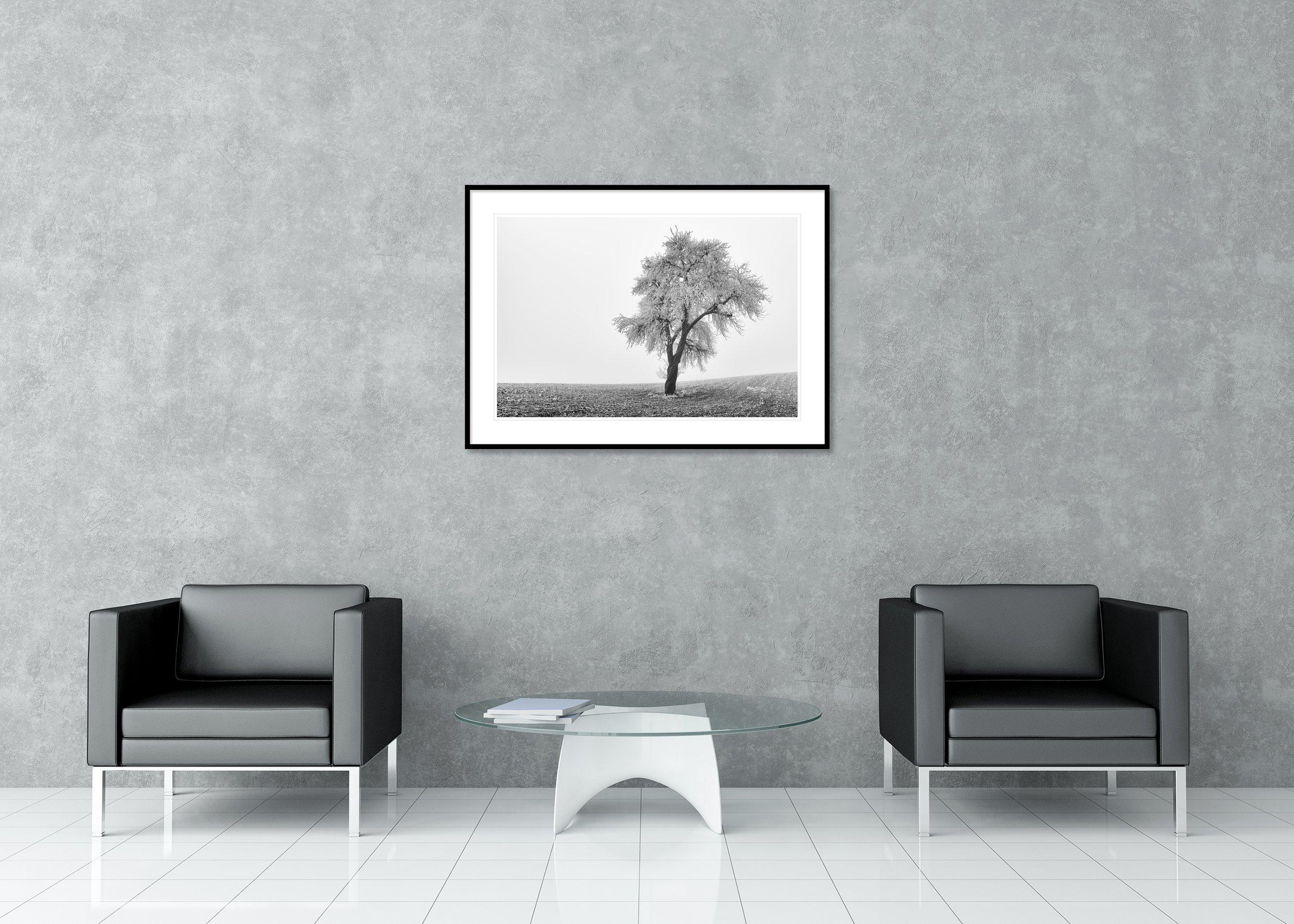 Tree in Frozen Field Study 1 displayed in a modern interior as an archival pigment print in a black aluminium frame with a white mount by Gerald Berghammer.