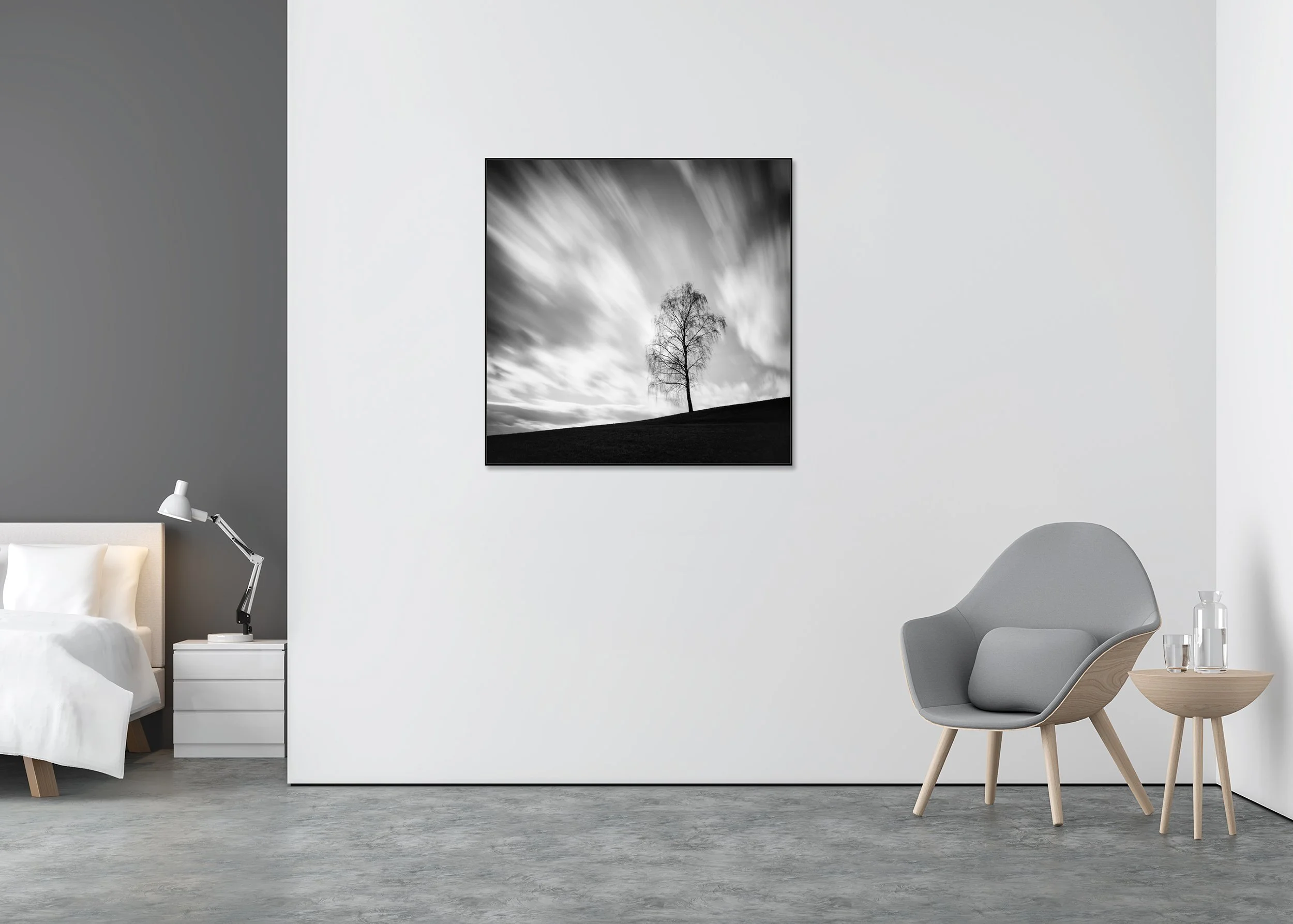 Black Birch displayed in a modern interior, mounted on aluminium Dibond in a black ArtBox frame by Gerald Berghammer.
