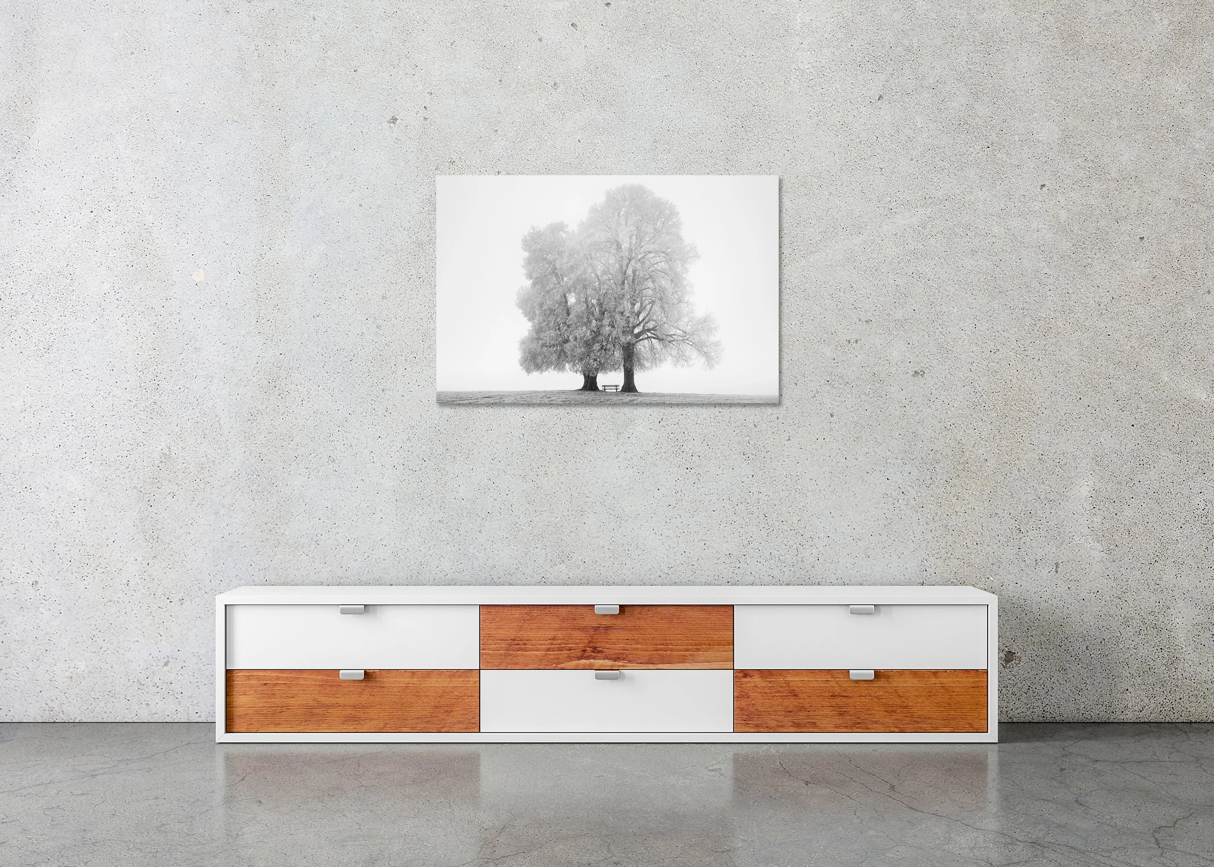 Gerald Berghammer - Place to Linger Winter, minimalist farmland, two trees, Austria, CromaLuxe print on aluminium, frameless