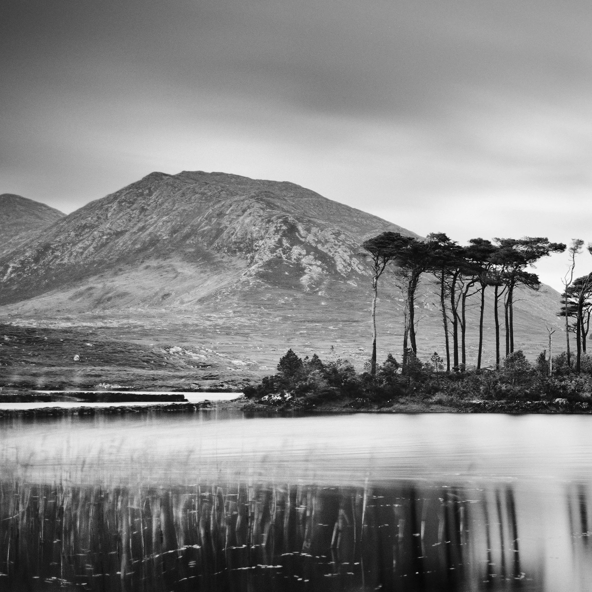 Gerald Berghammer - Black and white panorama landscape photography. Small island with tall trees, surrounded by water, mountains, and cloudy sky. Print detail 1
