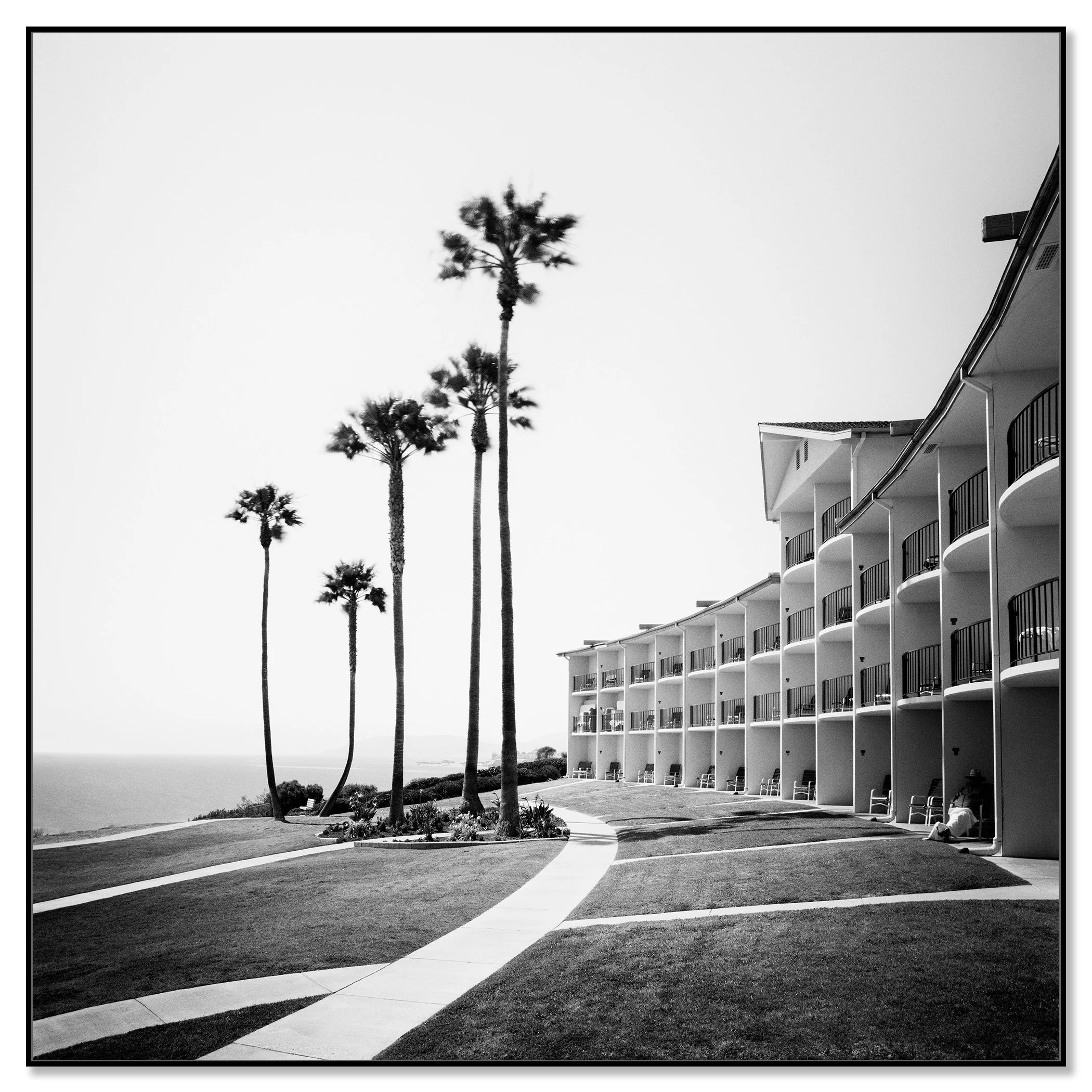 Gerald Berghammer - Black and white landscape photography. Seaside hotel with multiple balconies, a curved walkway, and tall palm trees near the ocean. Chromaluxe framed black