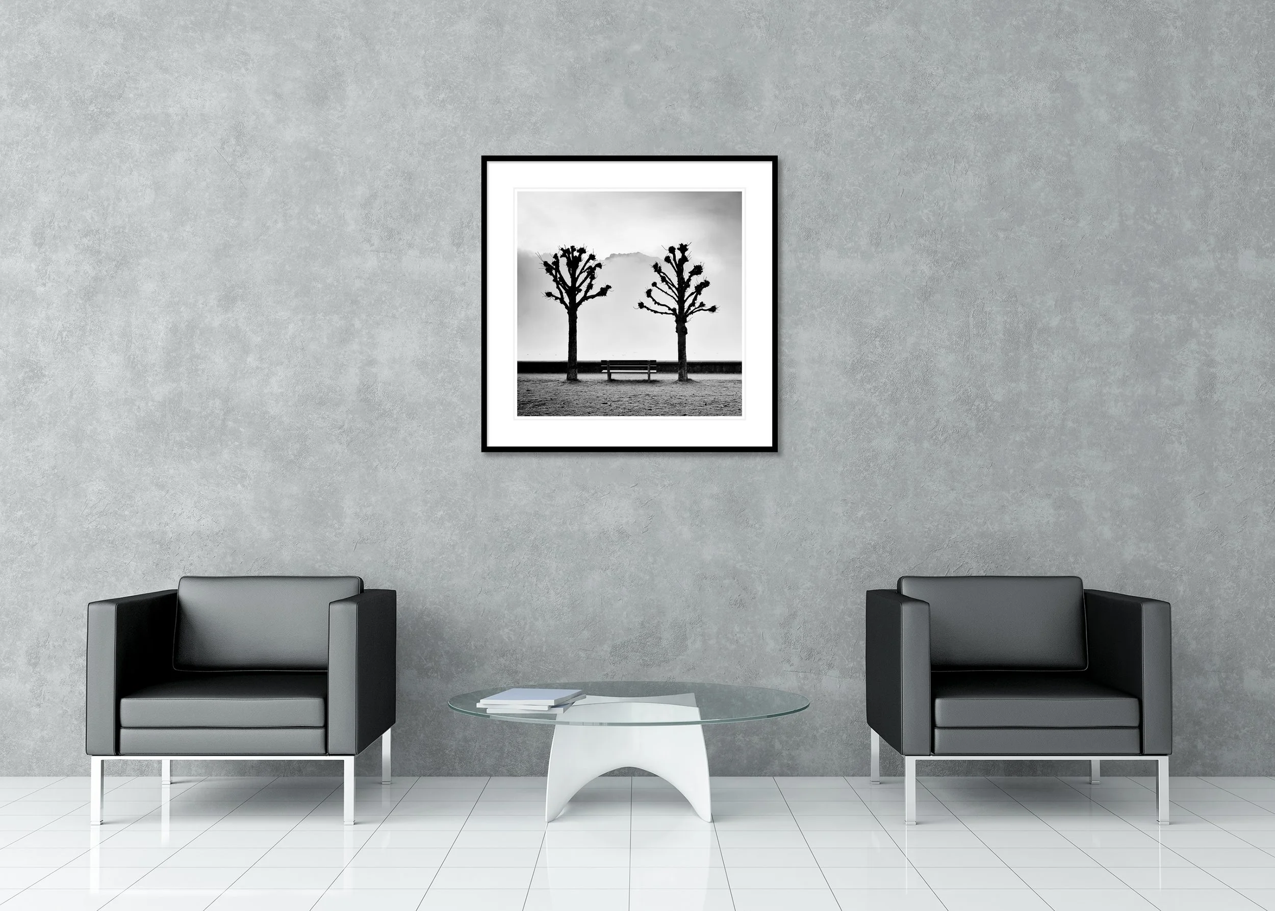 Symmetrical black and white photo of two pruned trees framing a bench centred on the lakeside promenade, archival pigment print in a classic frame with passe-partout.