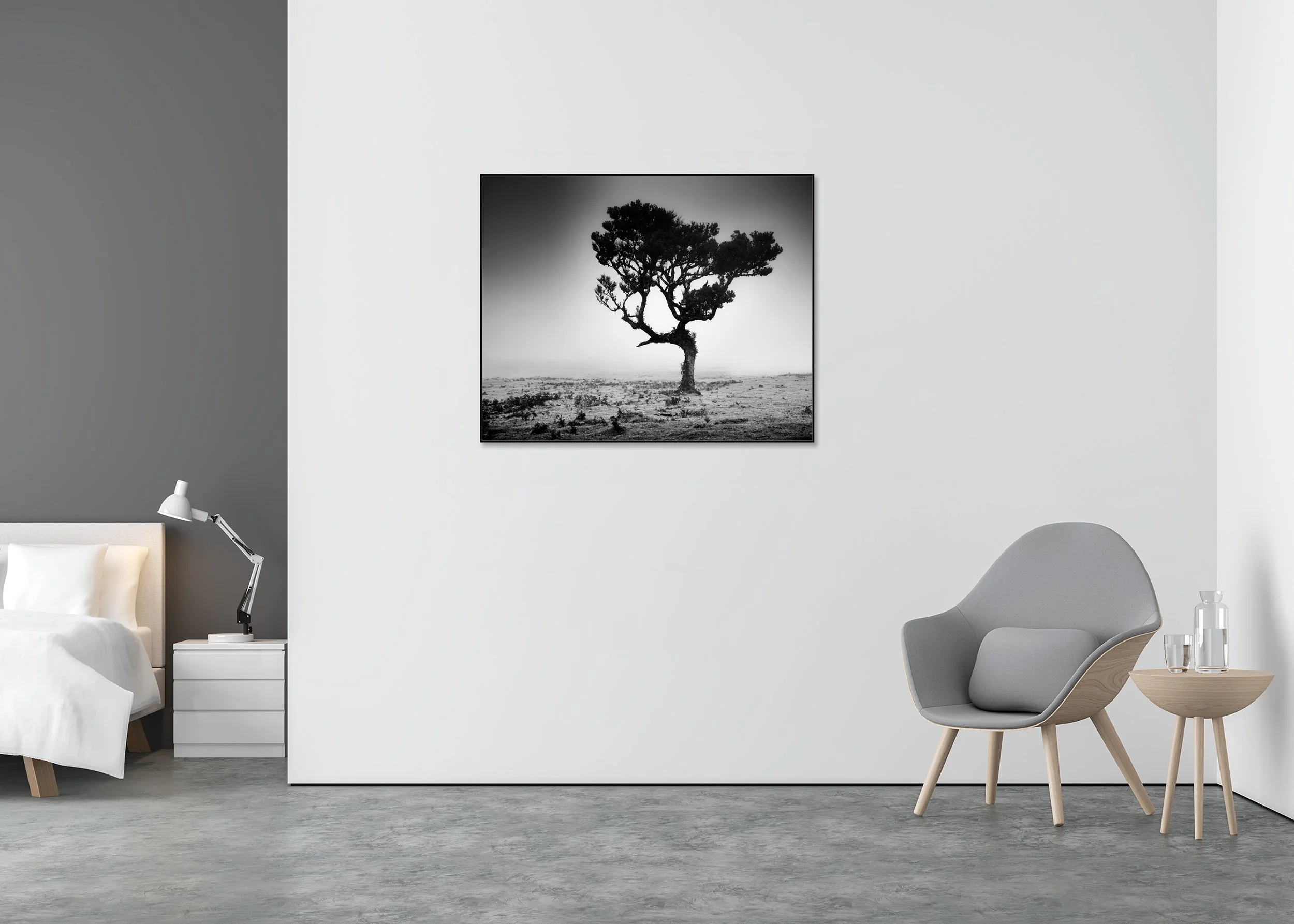Solitary windswept tree in a foggy, barren landscape, black and white minimalist nature photograph – ChromaLuxe metal print in an aluminium ArtBox frame.