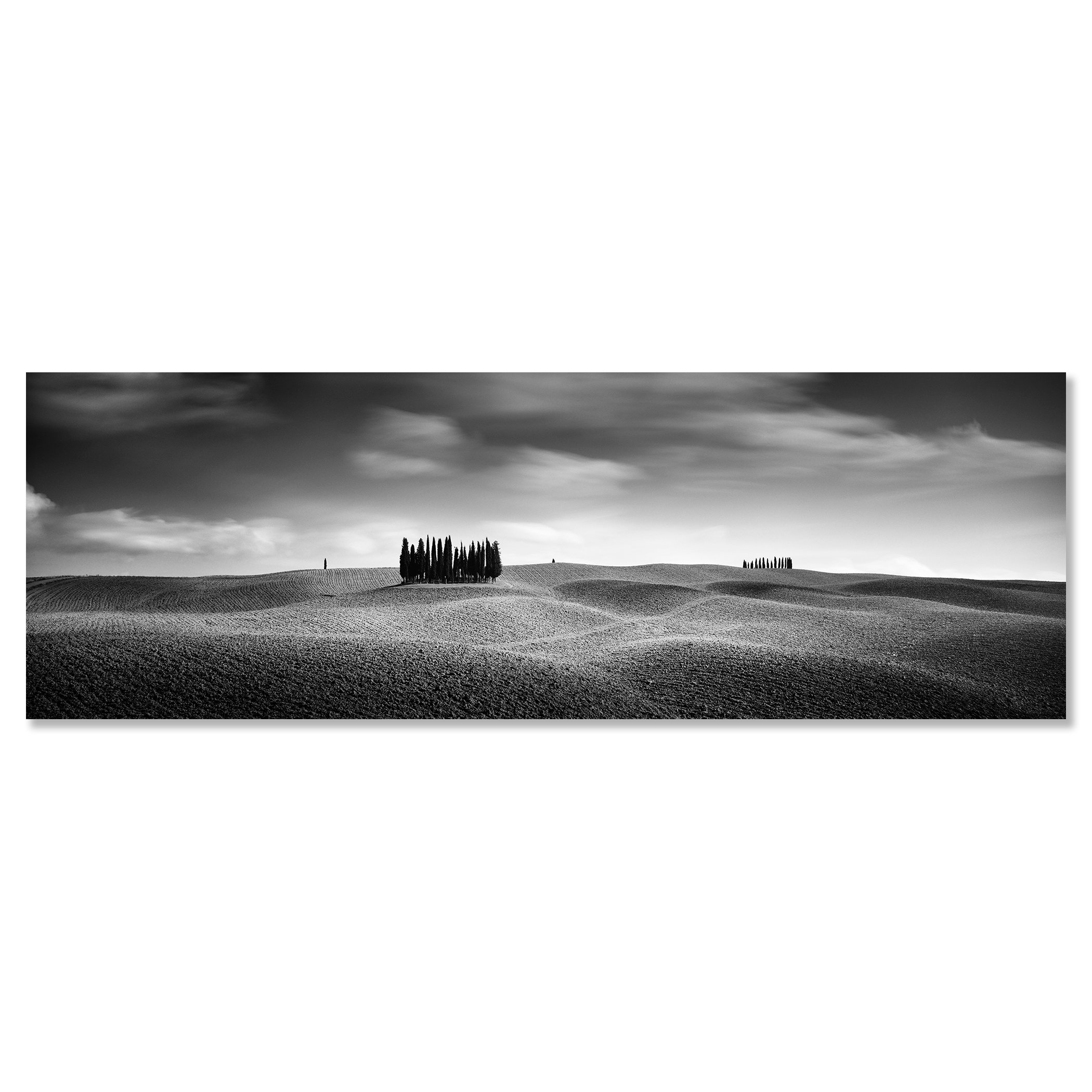 Cypress Hill Panorama Study 2 – Tuscany, Italy, black-and-white photograph mounted on frameless Dibond