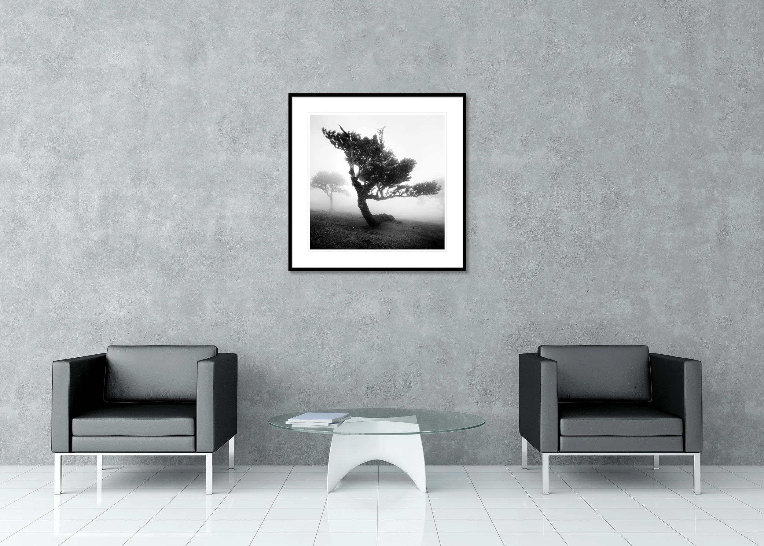Wind-shaped tree emerging from dense fog on Madeira, dramatic black-and-white nature photograph as an archival pigment print in a classic frame with a mount.