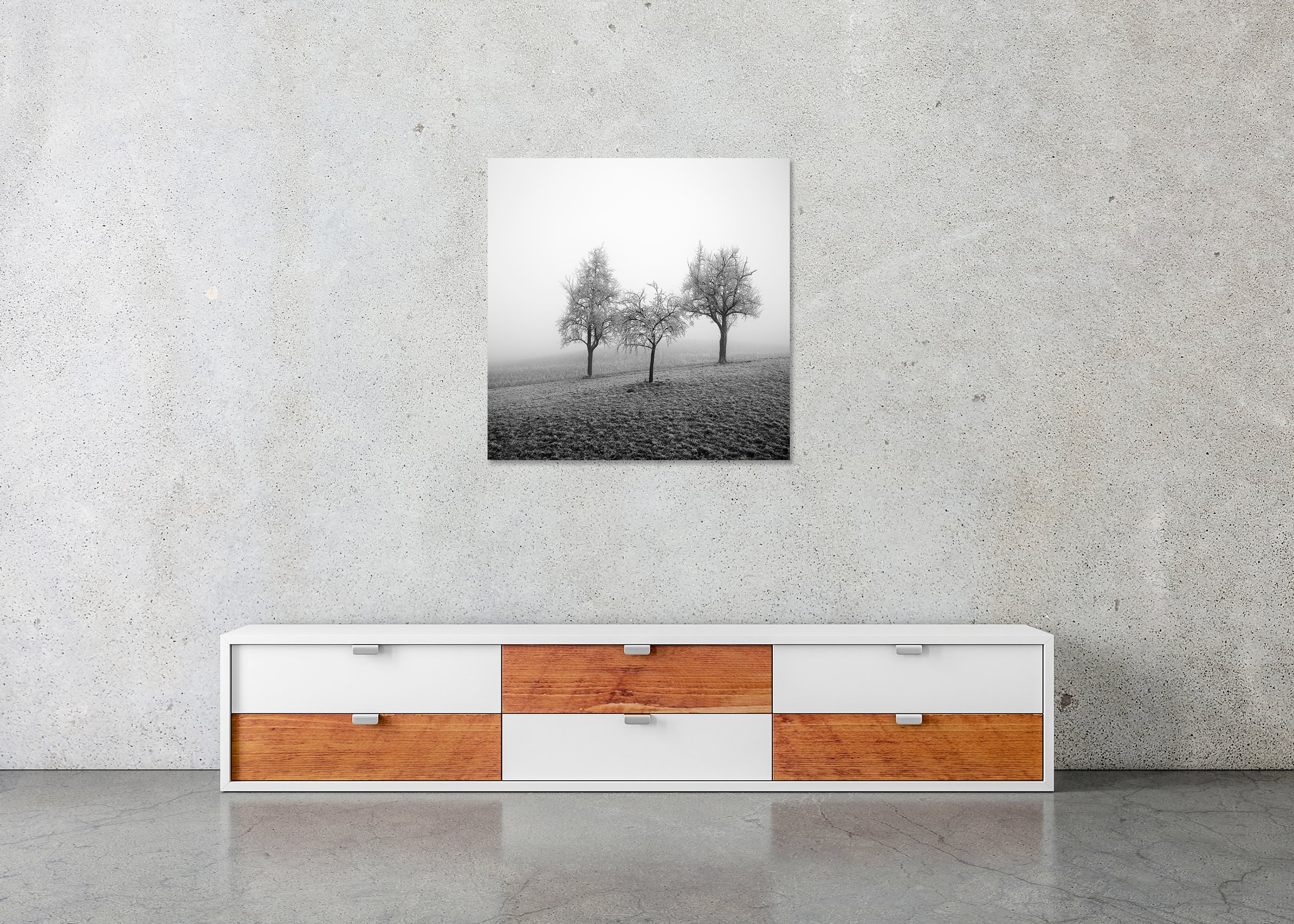 Frozen Landscape Study 2 displayed in a modern interior as a frameless black-and-white aluminium Dibond print by Gerald Berghammer.