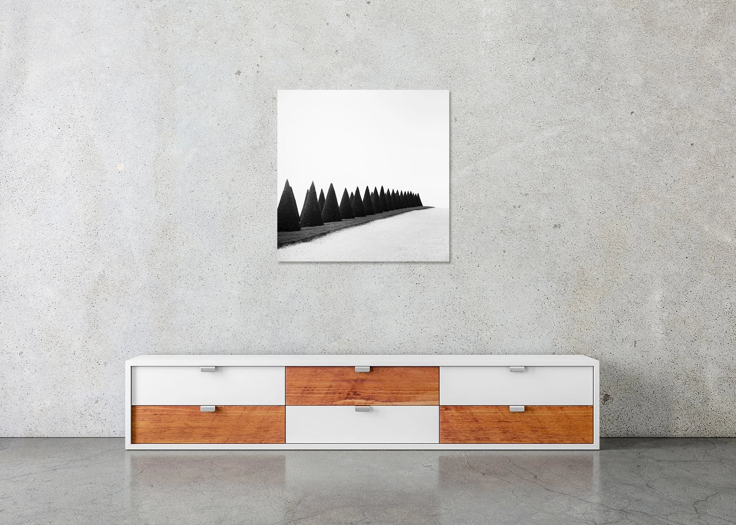 Hedges, Study 1 displayed in a minimalist interior as a frameless black-and-white aluminium Dibond print by Gerald Berghammer.