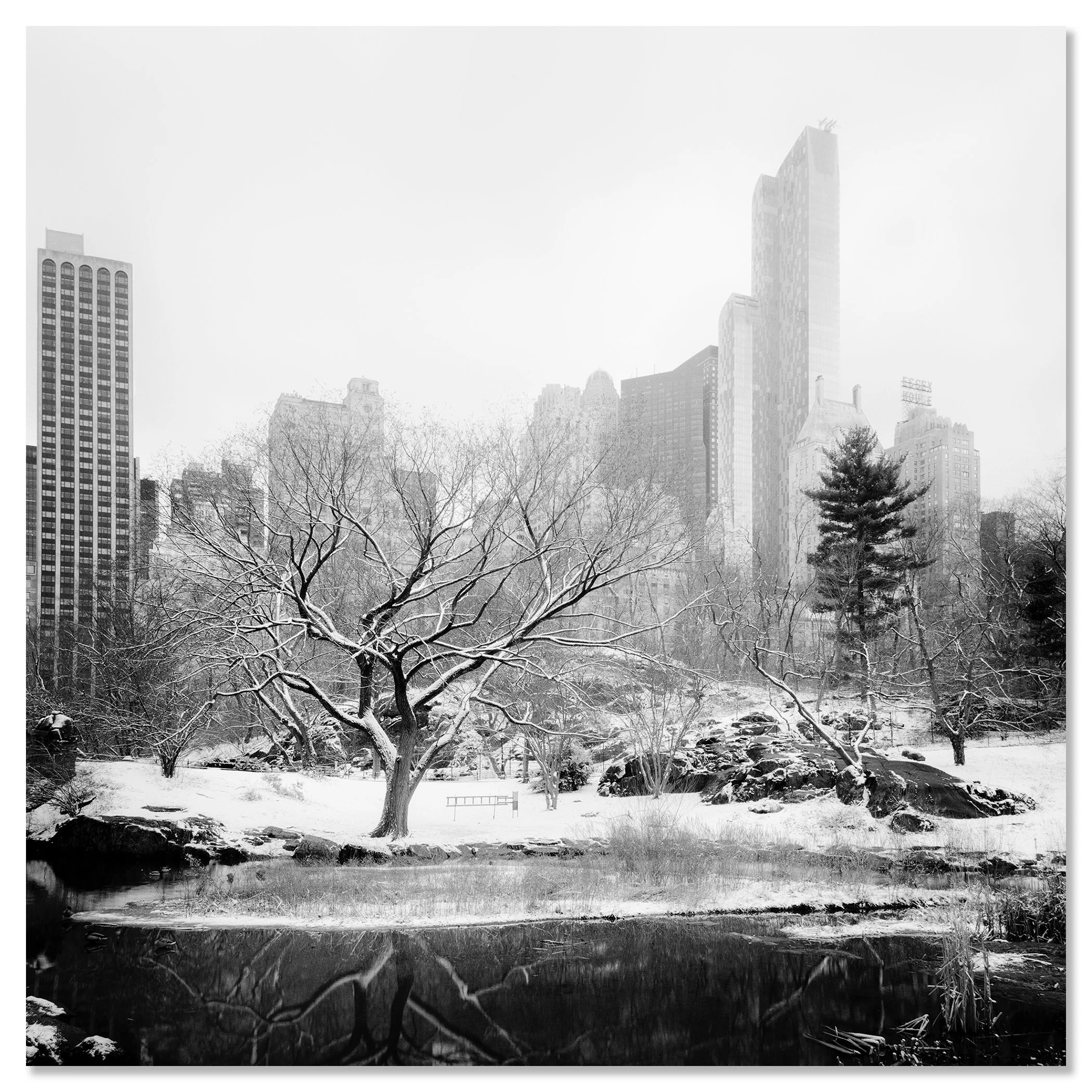 Snow-Covered Central Park Study 7 by Gerald Berghammer, frameless black-and-white photograph mounted on aluminium Dibond.