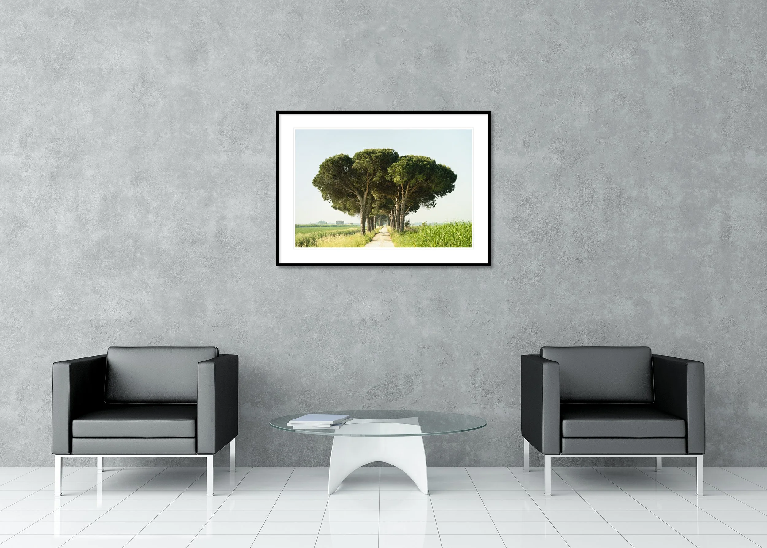 Italian Stone Pine displayed in a modern interior as an archival pigment print in a black aluminium frame with white mount by Gerald Berghammer.