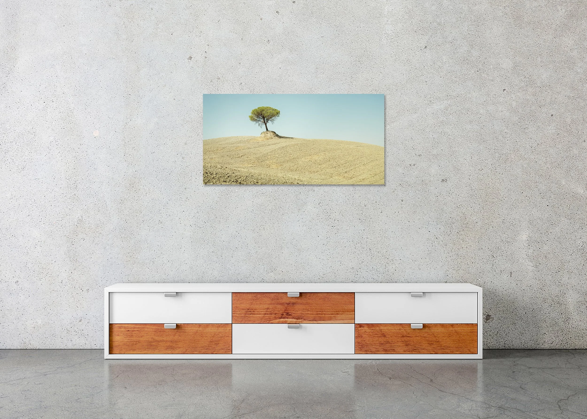Italian Stone Pines, Study 6 – frameless colour photograph on aluminium Dibond displayed in a minimalist interior. Photo by Gerald Berghammer.