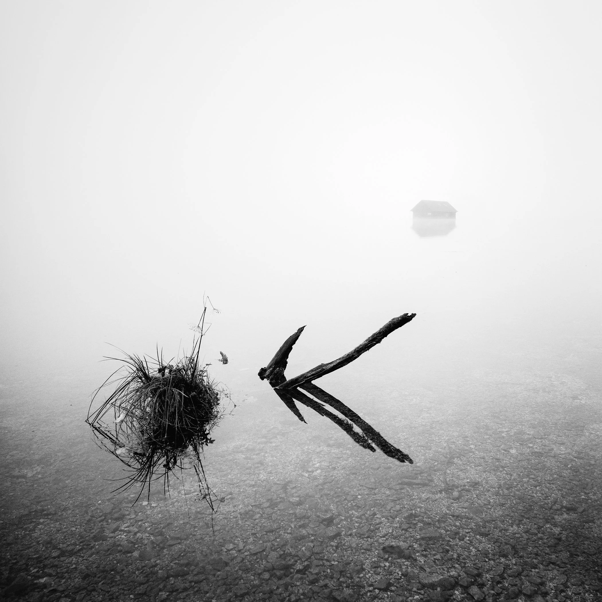 Minimalist black-and-white landscape photograph of Lake Almsee in mist, with reeds and driftwood, by Gerald Berghammer.
