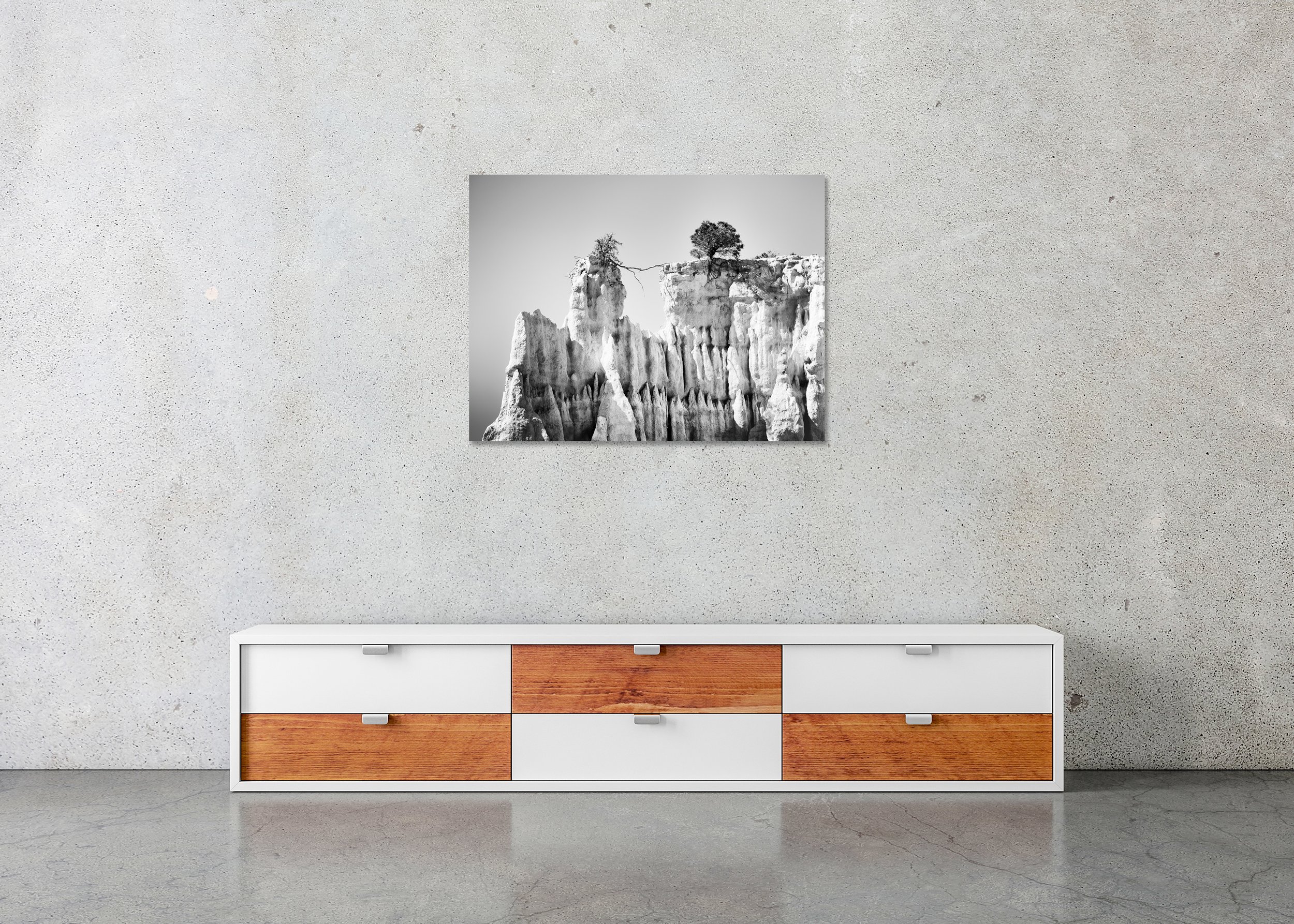 Alt text: Monochrome abstract landscape photo of a rugged cliff edge featuring two windswept trees linked by a single branch, printed as a frameless ChromaLuxe metal print.