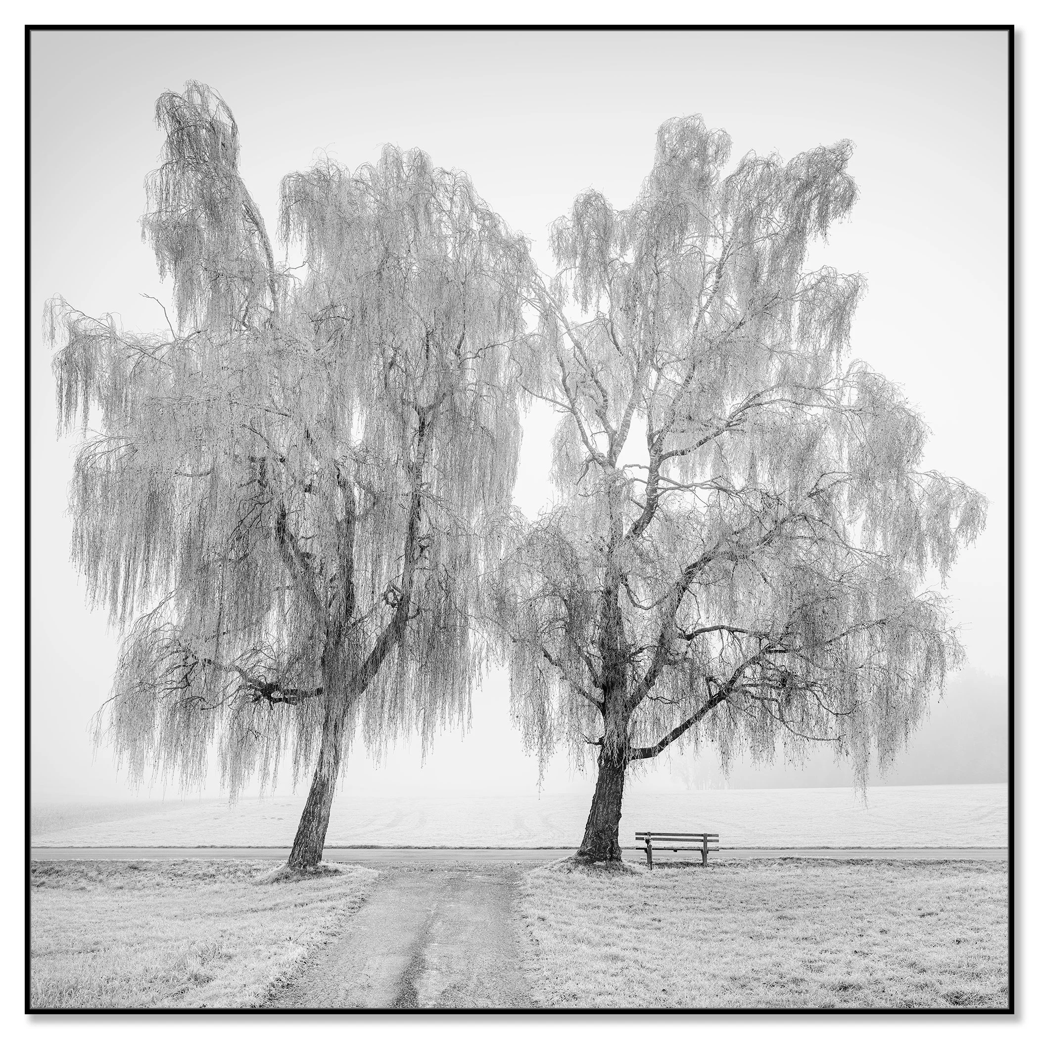 Place to Linger, Winter Study 1 mounted on aluminium Dibond in a black ArtBox frame by Gerald Berghammer.