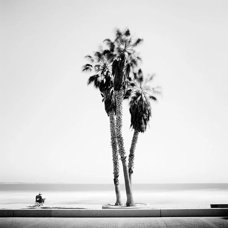 Sunday Relaxing by Gerald Berghammer, minimalist black-and-white photograph of tall palm trees and a solitary figure in California, USA.
