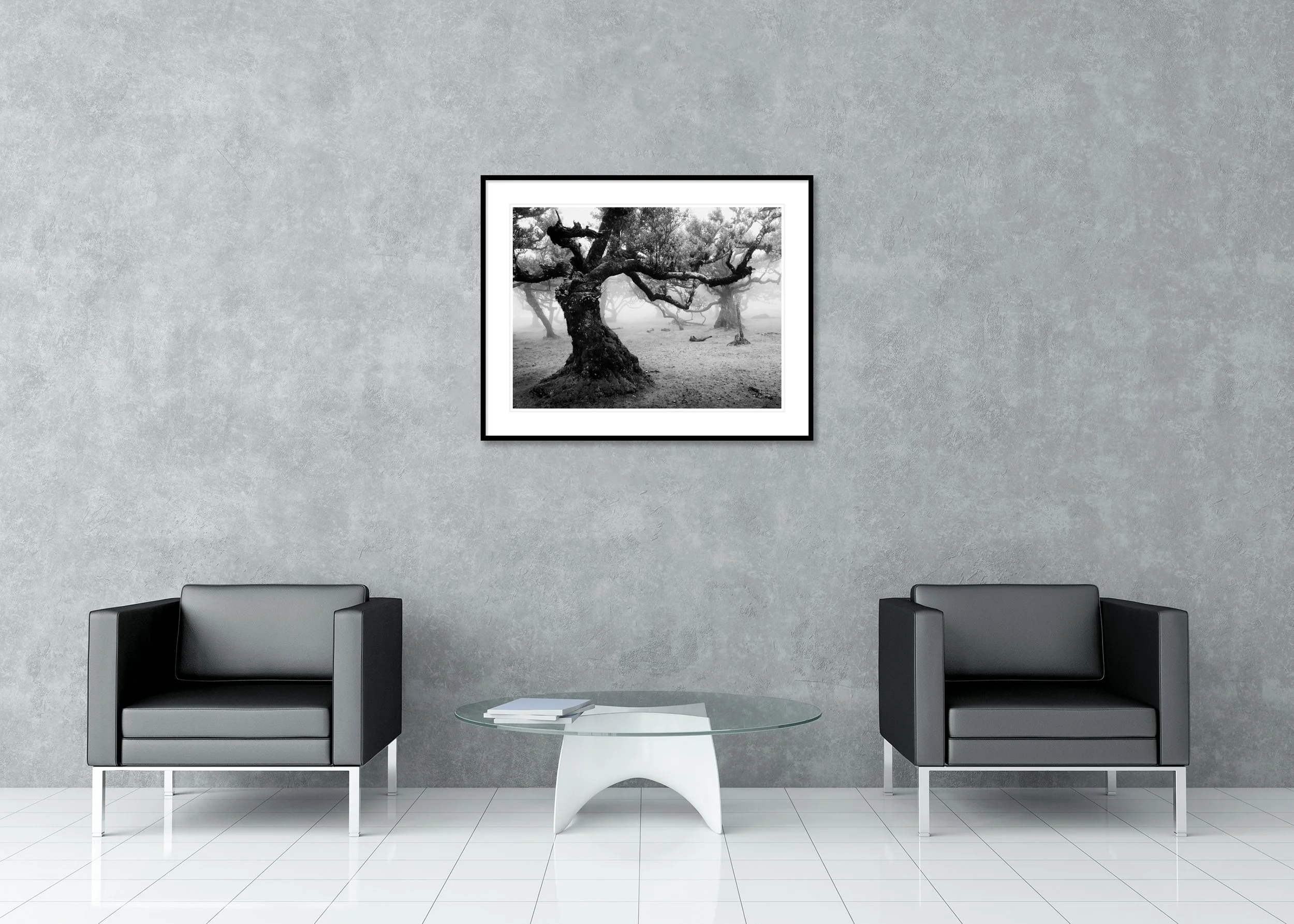 Ancient Laurisilva Forest, Study 17 – archival pigment print in a black aluminium frame with a white mount in a modern interior.