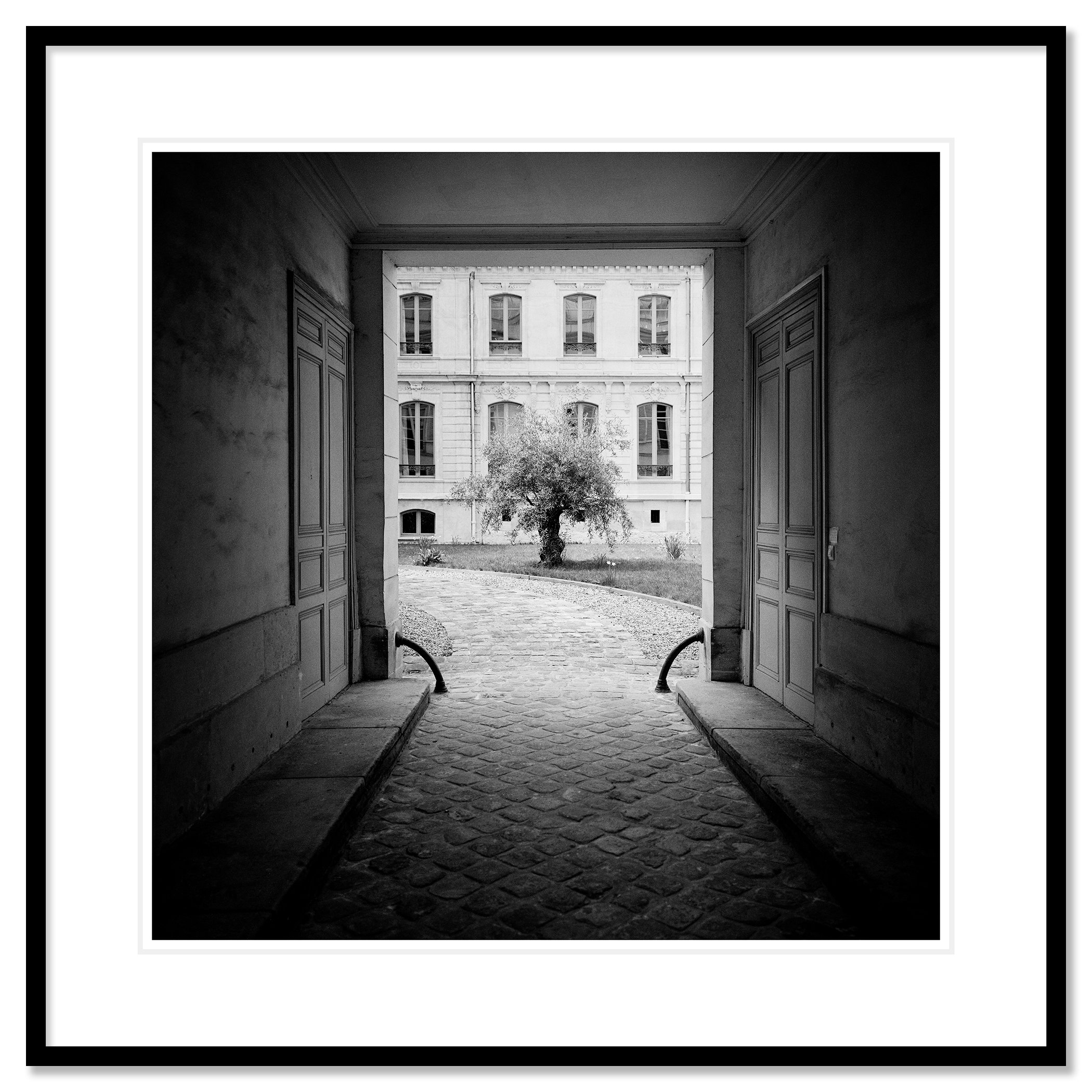 Tree in the Courtyard as an archival pigment print in a black aluminium frame with a white mount by Gerald Berghammer.