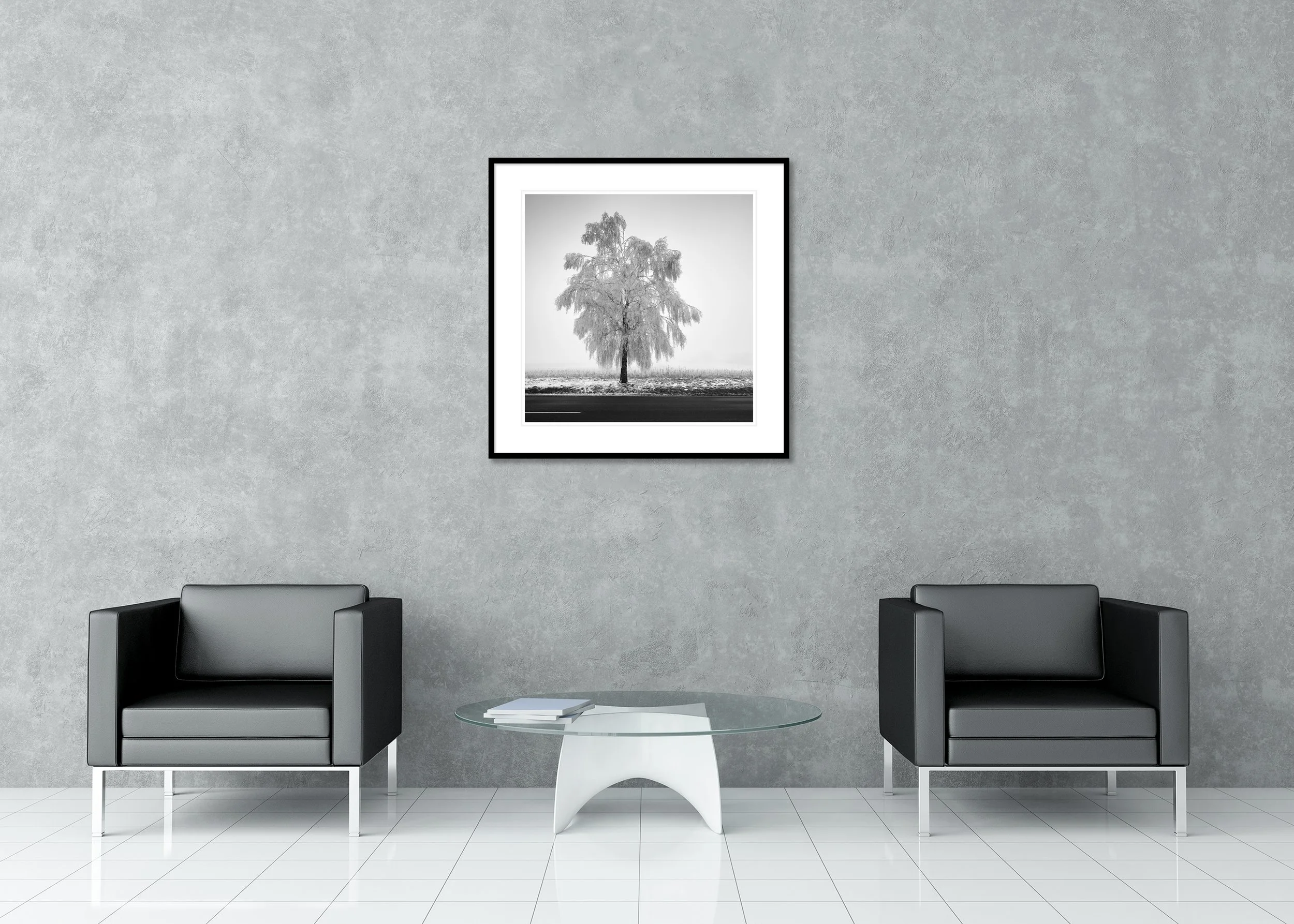 Frozen Birch Tree Study 1 – Austria, archival pigment print in an aluminium frame with white mount and anti-reflective glass.