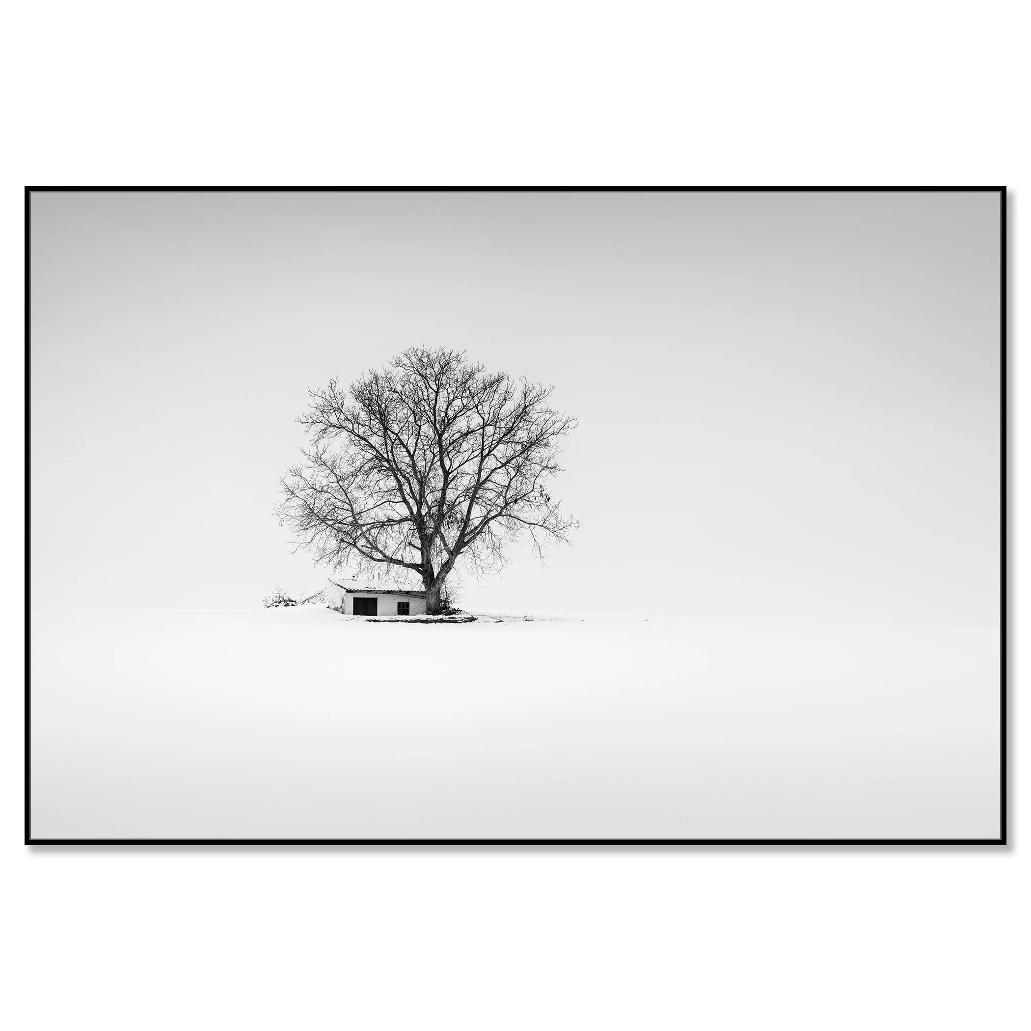 Minimalist black-and-white landscape of a wine press house in winter farmland, Austria, ChromaLuxe framed in black