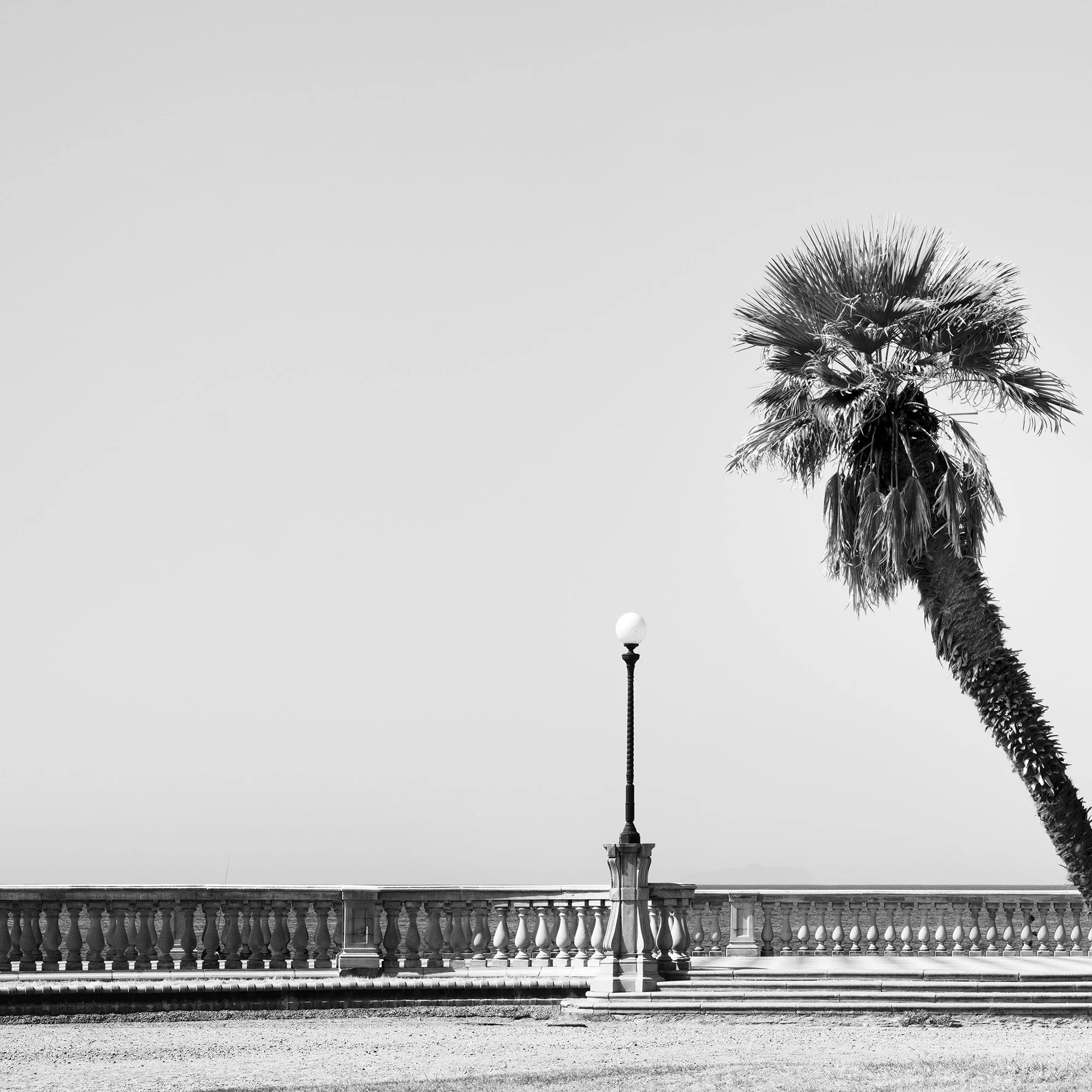 Detail of Palm Trees Study 2 by Gerald Berghammer, showing two palm trees and the coastal architecture of Terrazza Mascagni in Tuscany.