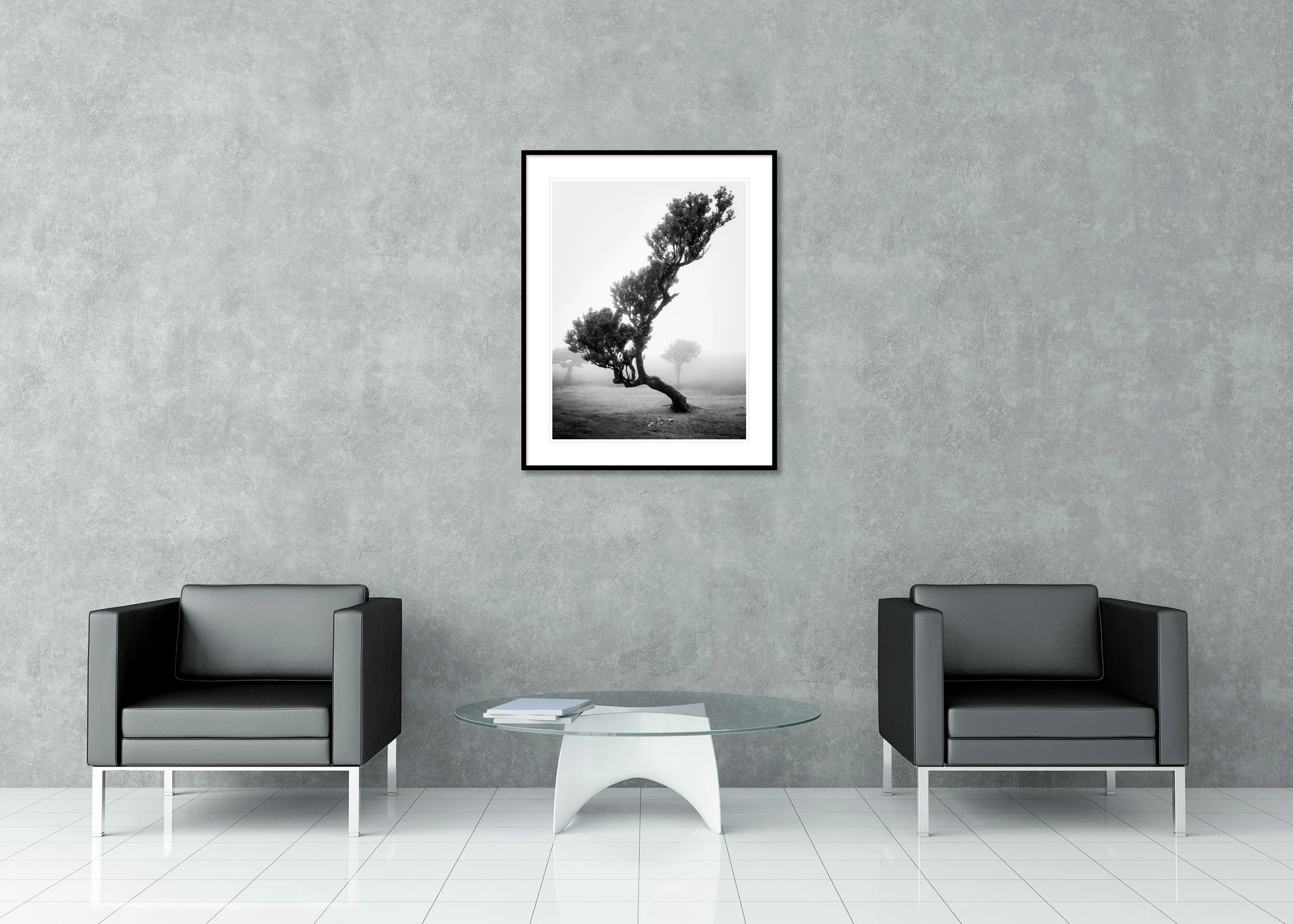 Ancient Laurisilva Forest Study 10 displayed between two armchairs as a black-and-white archival pigment print in a black aluminium frame with a white mount by Gerald Berghammer.