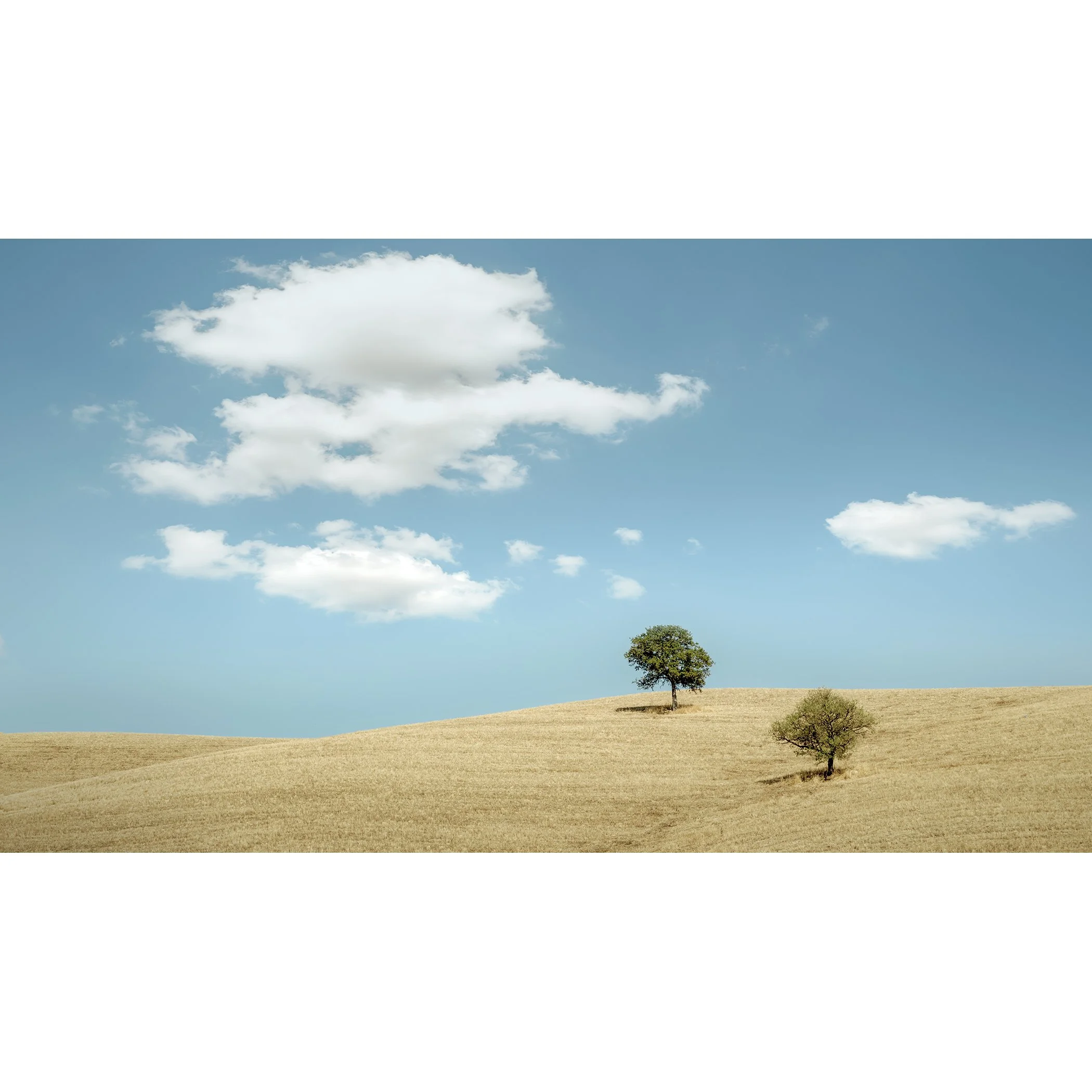 © 2021 Gerald Berghammer - Color minimalist Tuscany landscape photography. Two trees on a grassy hill under a blue sky with white clouds.