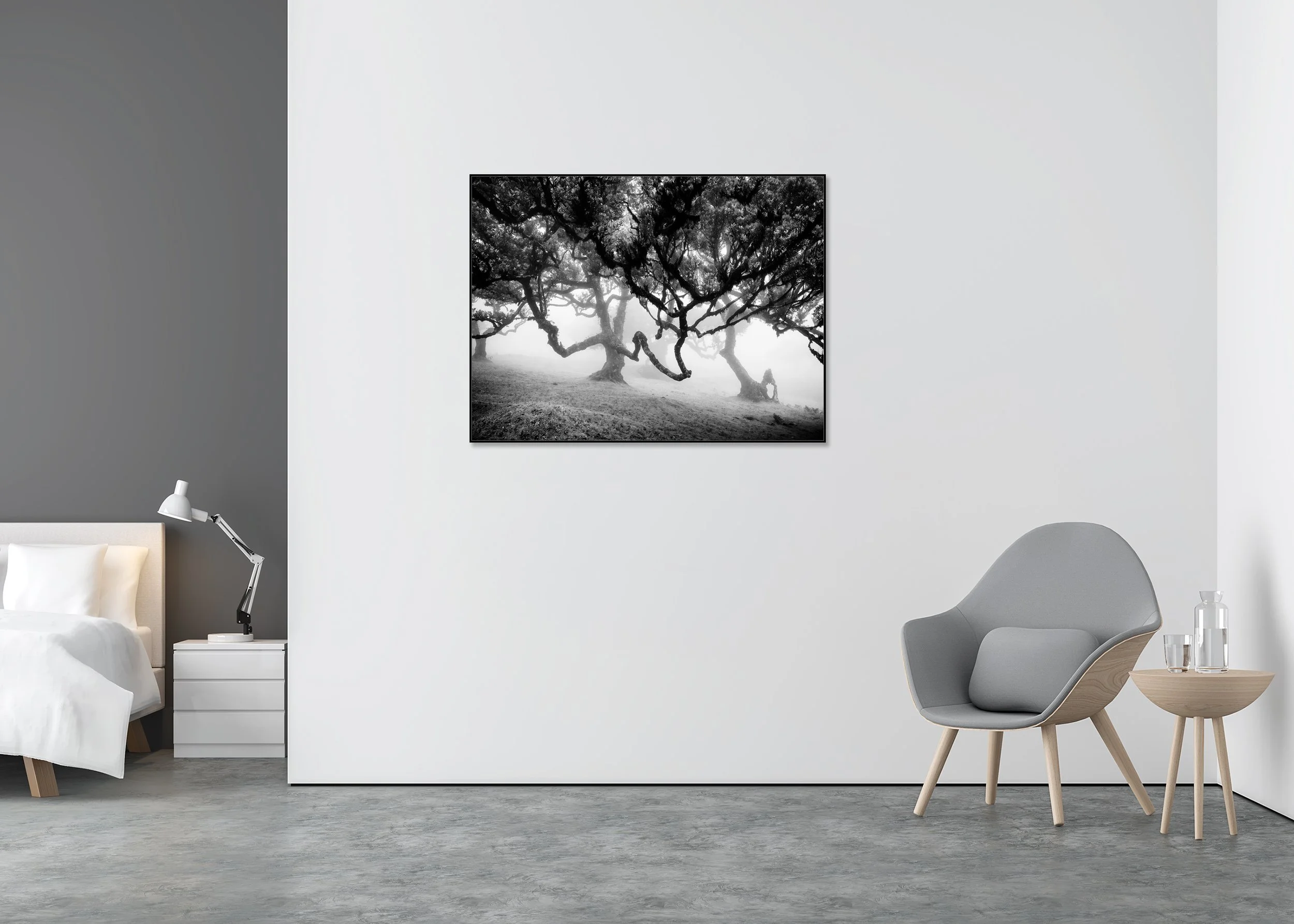 Abstract black and white photo of bent trees in a dense misty forest, mounted as a fine art print on Dibond in an aluminium ArtBox.