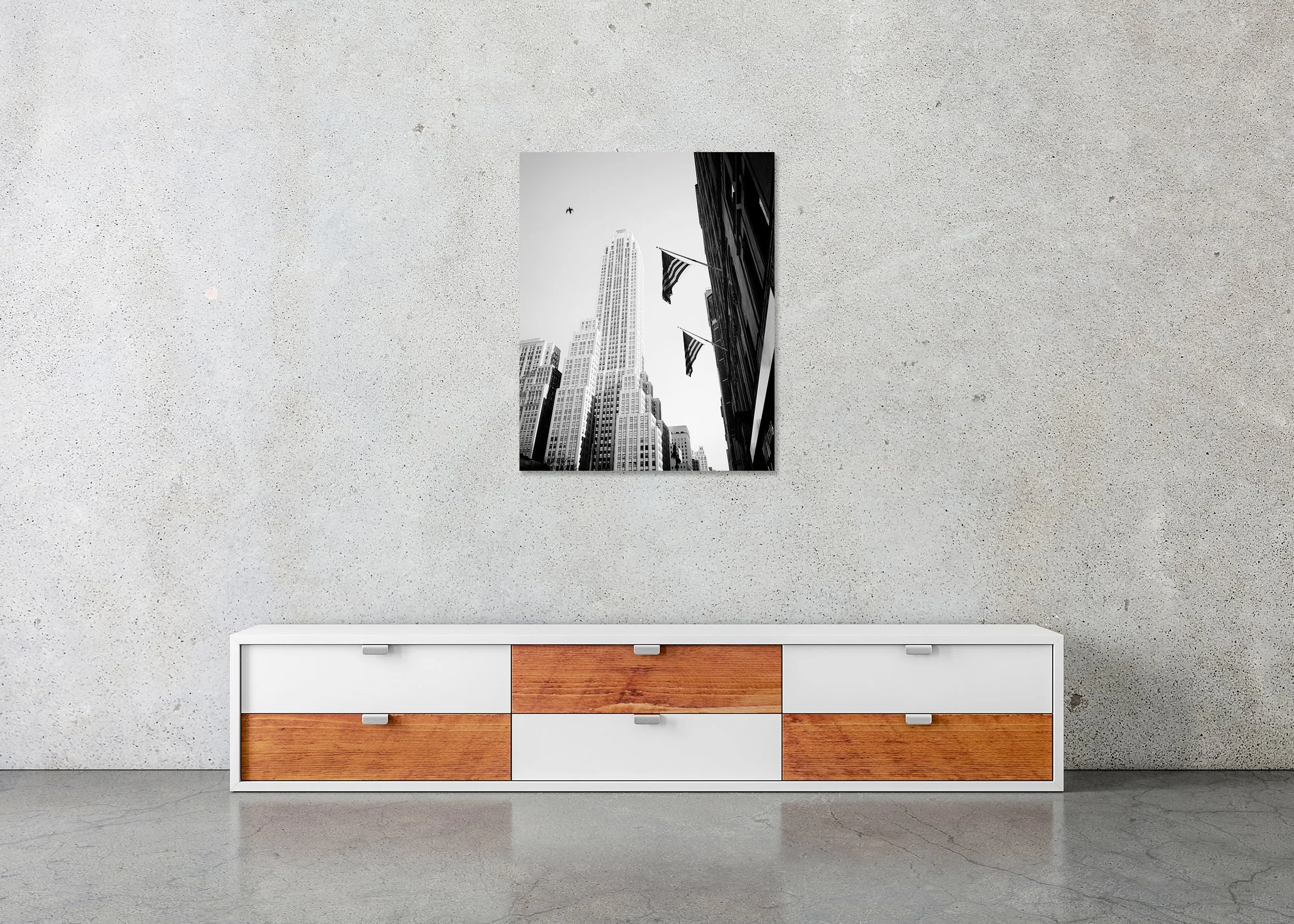 Bird in the City displayed as a black-and-white photo print mounted to frameless Dibond.