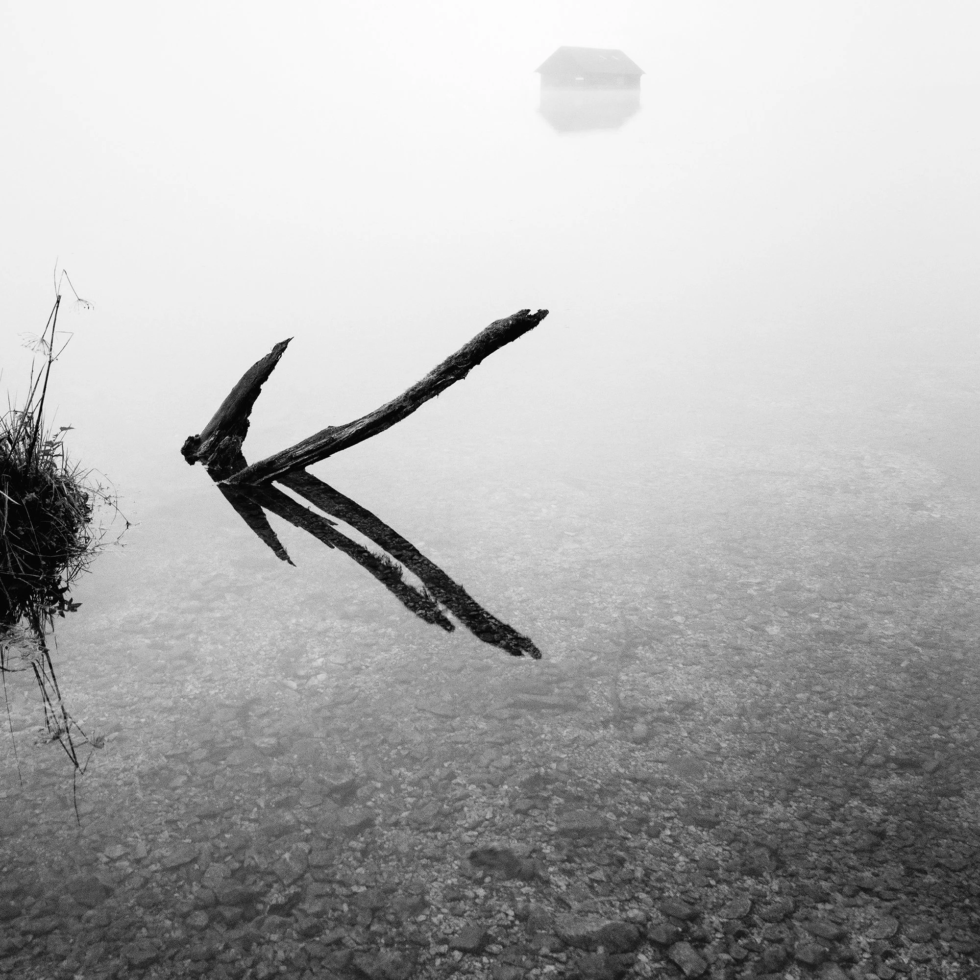 Detail of reflected driftwood in misty Lake Almsee from The Lake House, Austria, by Gerald Berghammer.