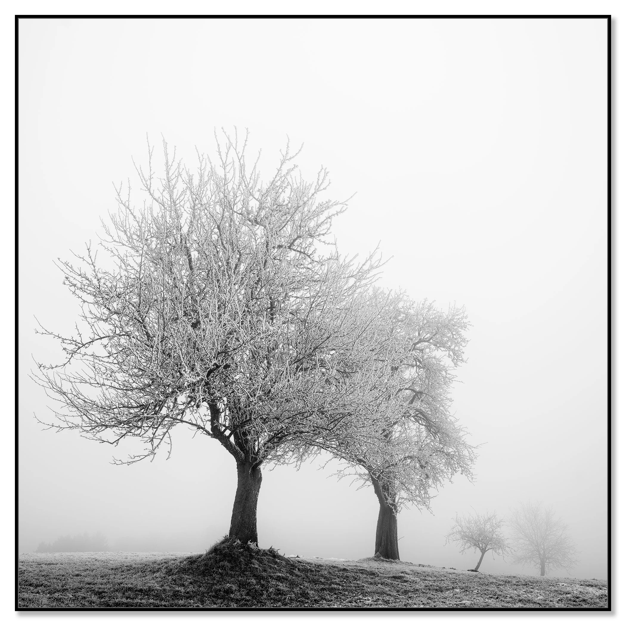 Frozen Landscape Study 1, winter tree photograph in a black aluminium ArtBox by Gerald Berghammer.