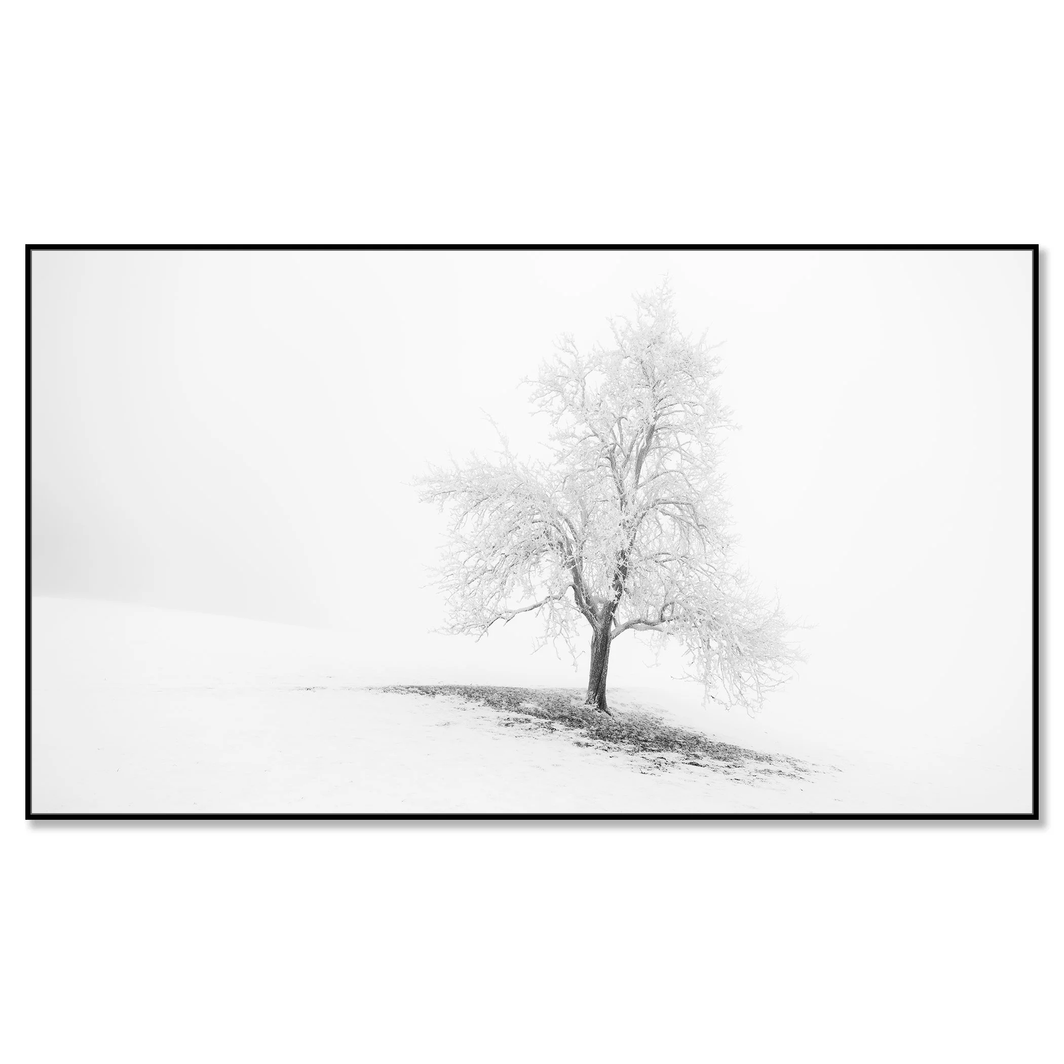 Frosted Winter Tree Panorama – Austria, black-and-white photograph in a black aluminium ArtBox frame