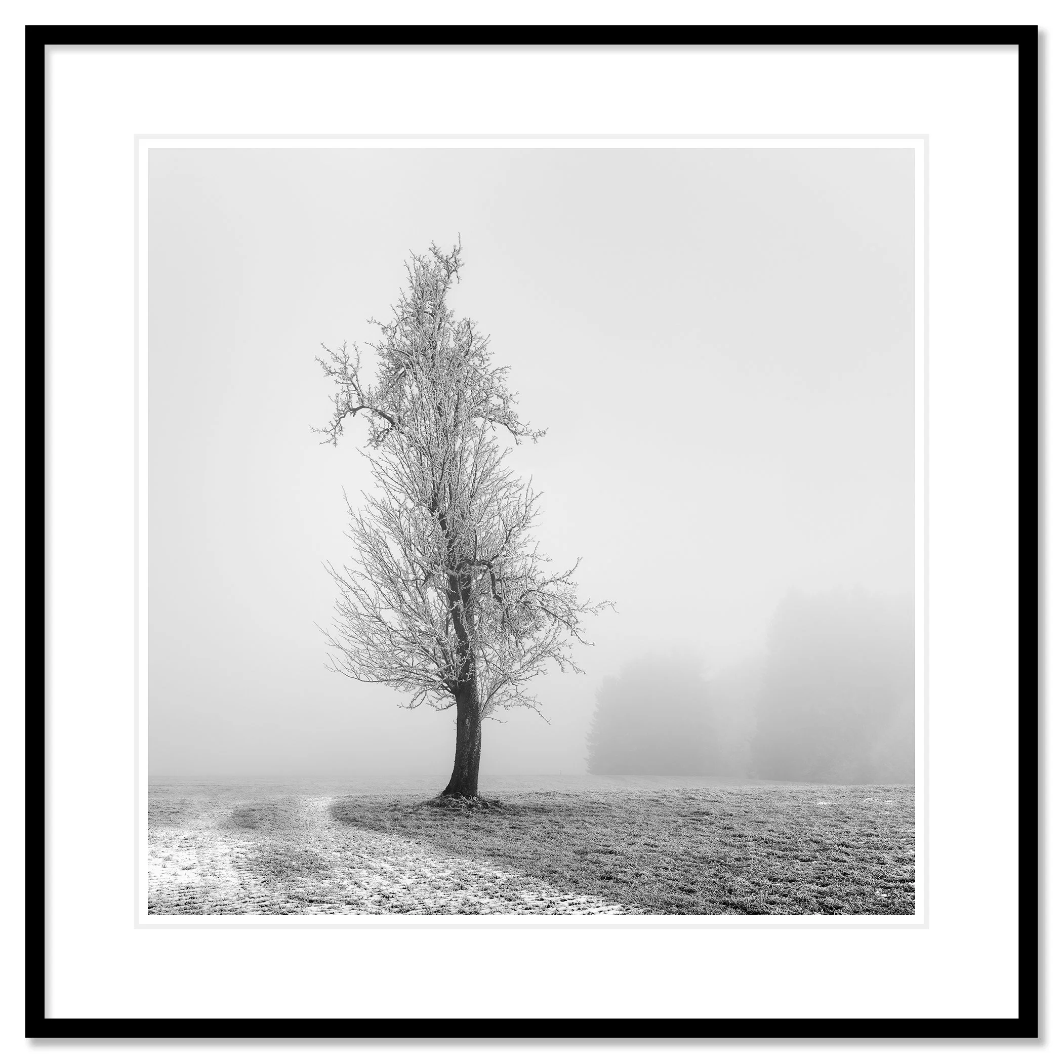 Frozen Farmland Study 1 as a fine art print in a black aluminium frame with a white mount by Gerald Berghammer.