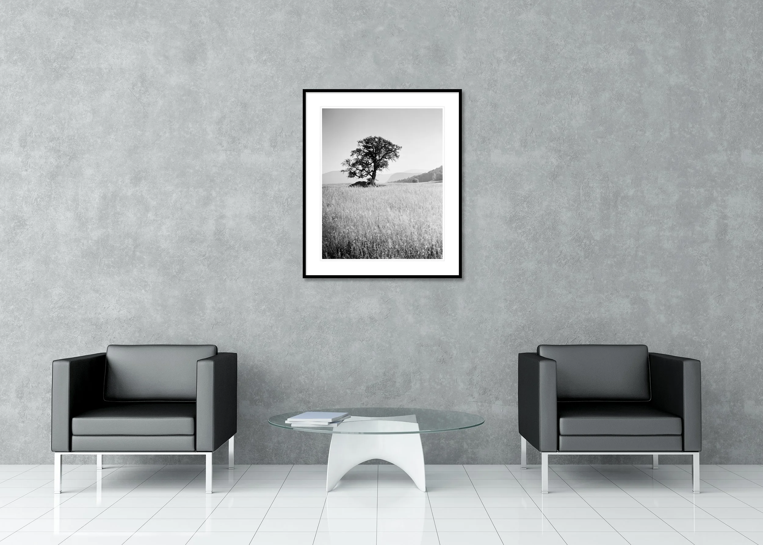 Morning Sun displayed in a modern interior as an archival pigment print in a black aluminium frame with white mount by Gerald Berghammer.