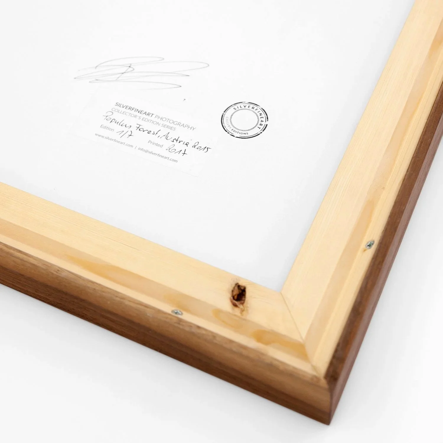 Populus Forest by Gerald Berghammer – reverse showing the artist's signature, edition details and SILVERFINEART gallery stamp.