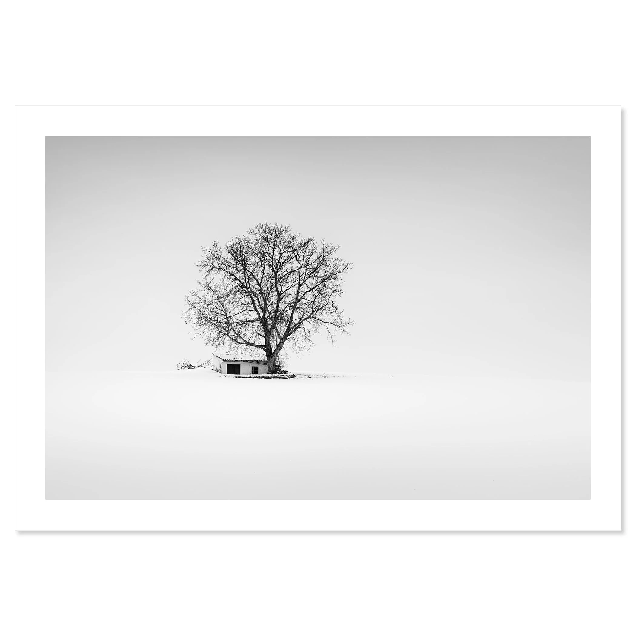 Minimalist black-and-white landscape of a wine press house in winter farmland, Austria, print only