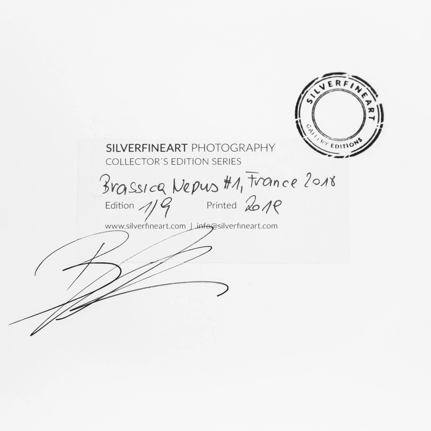 Close-up of Gerald Berghammer's signature, SILVERFINEART stamp and handwritten edition 1/9 on Brassica Napus Study 1.