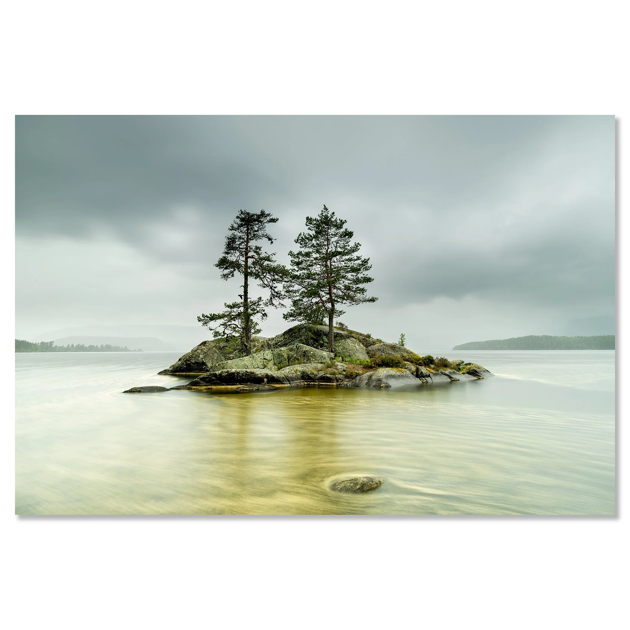 Two pine trees on a rocky island in a calm Norwegian lake under a cloudy sky – dibond frameless