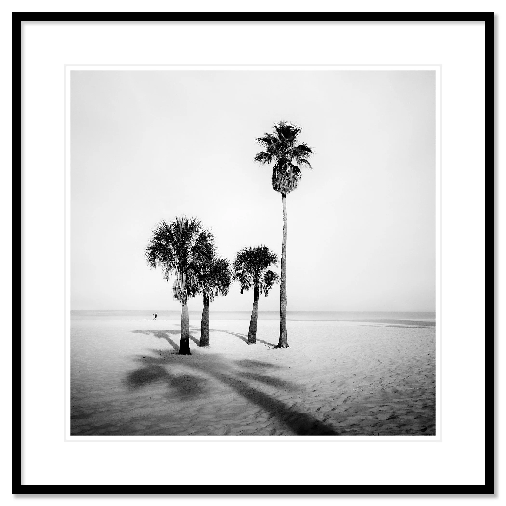 Palm Beach Study 5 shown in a black aluminium frame with a white mount by Gerald Berghammer.