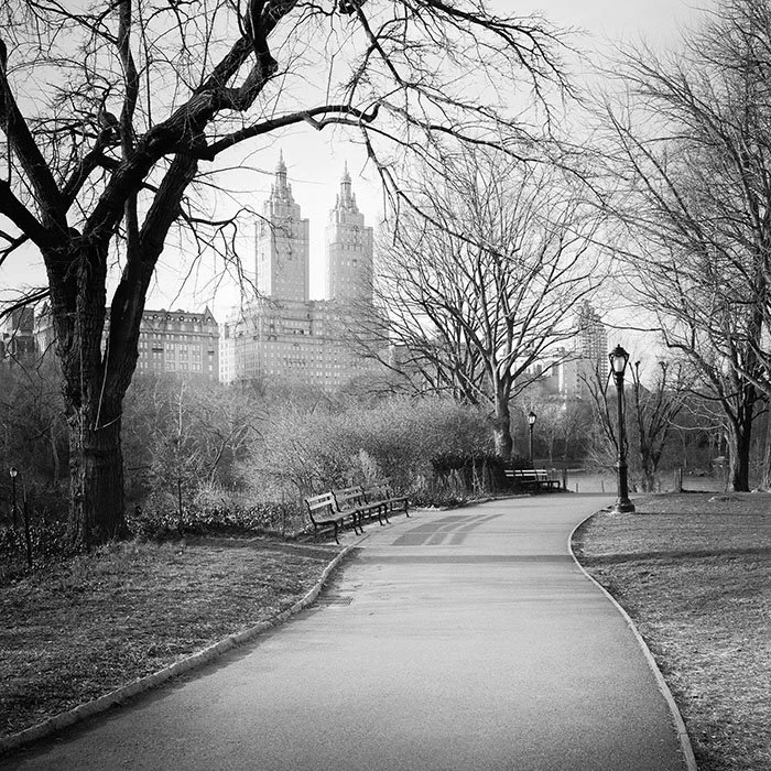 The San Remo Study 2 – New York City, USA | Gerald Berghammer