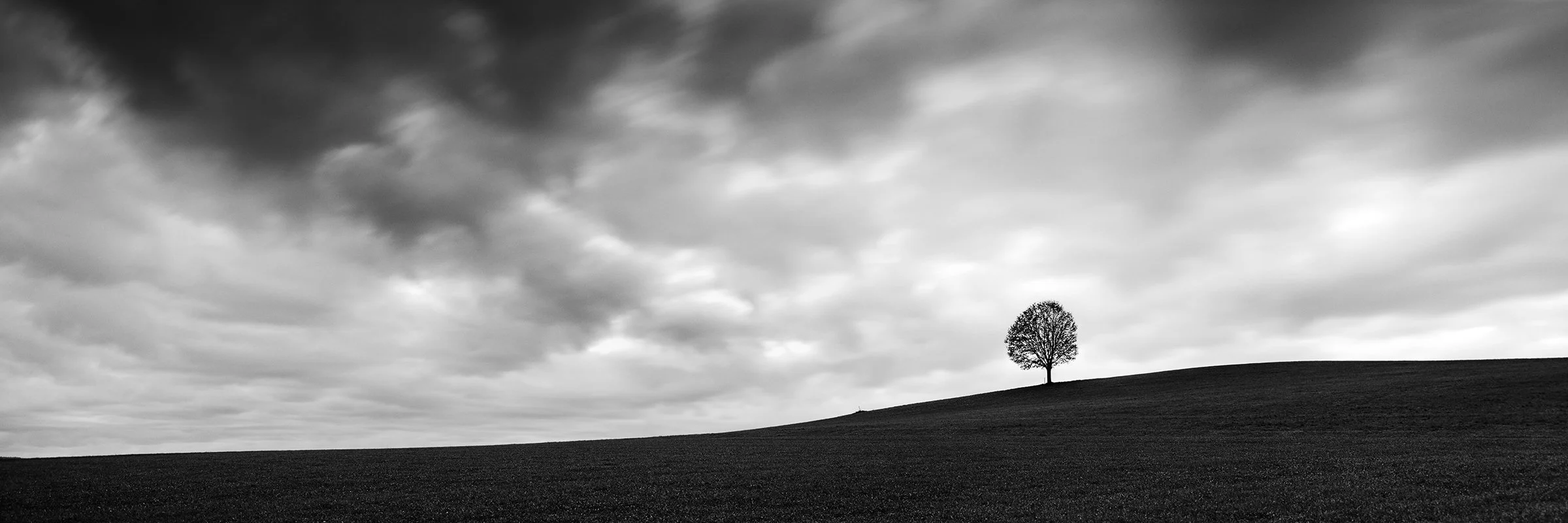 Turbulent Times Panorama Study 2 by Gerald Berghammer, black-and-white panoramic photograph of a solitary tree on a dark field beneath dramatic clouds in Austria.