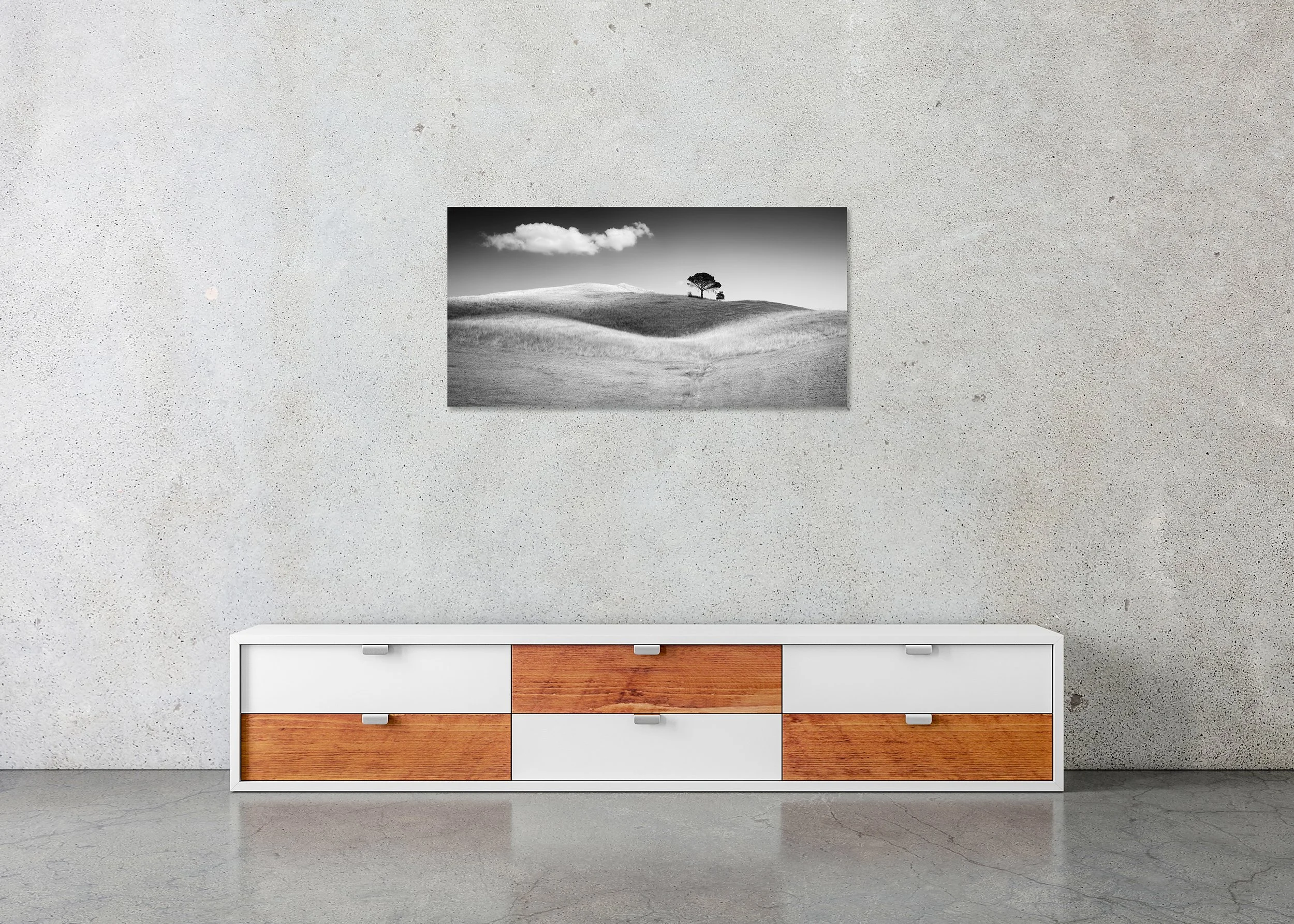 Minimalist black and white photograph of open hills with a solitary tree, photo print mounted to Dibond, frameless