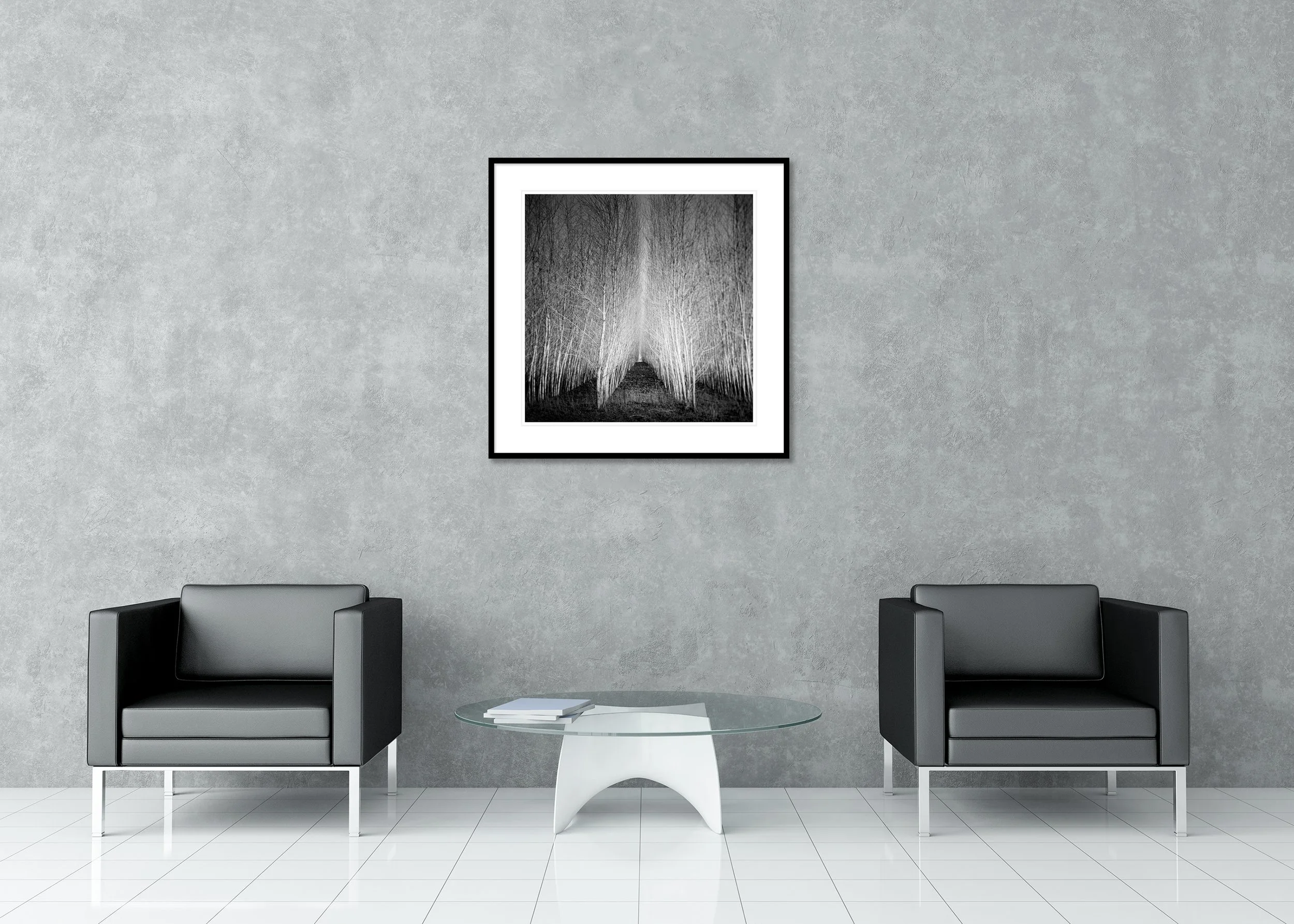 Populus Forest – Tree Avenue displayed as an archival pigment print in a black aluminium frame with a white mount. Photo by Gerald Berghammer.