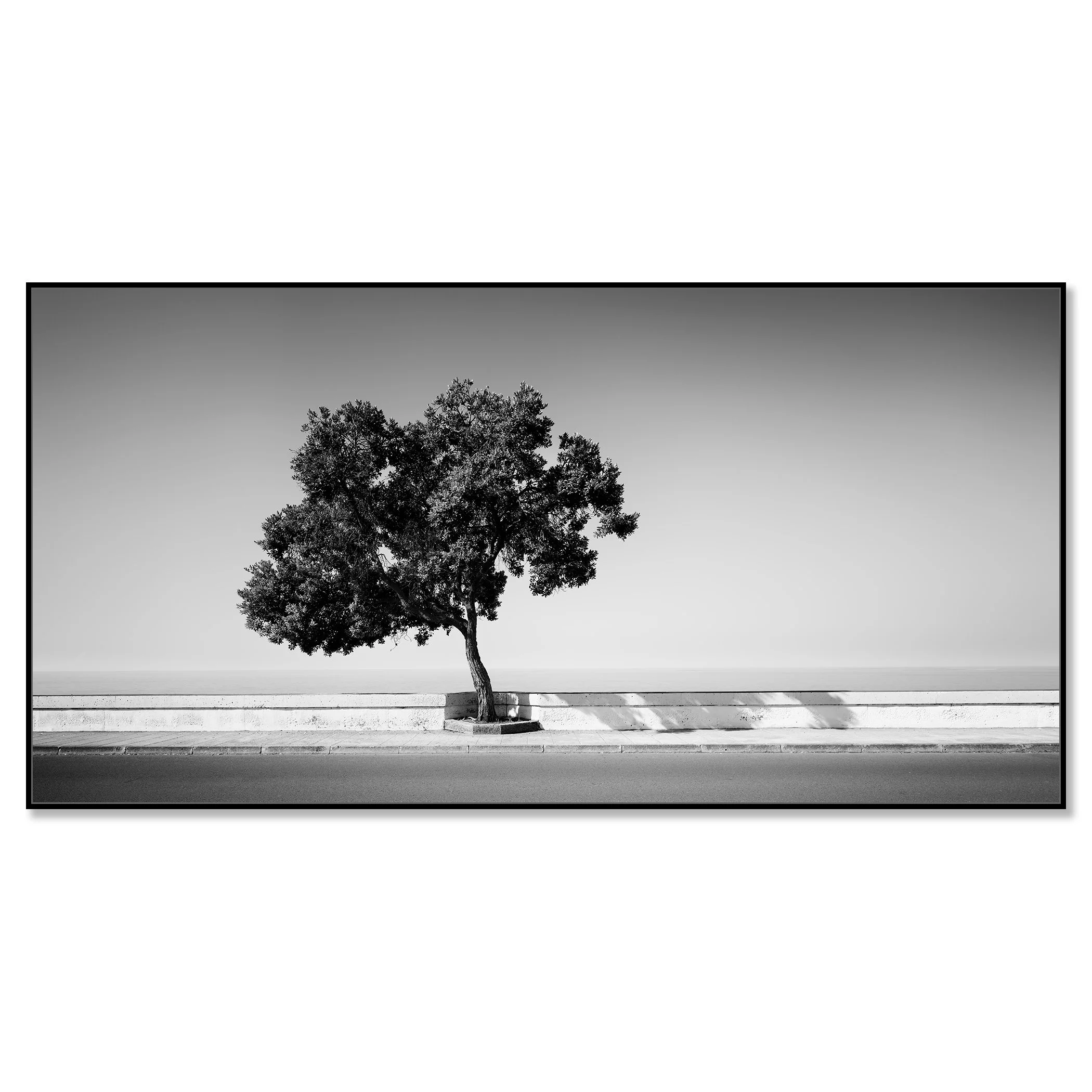 Tree by the Waterfront by Gerald Berghammer, black-and-white Dibond print presented in a black aluminium ArtBox frame.