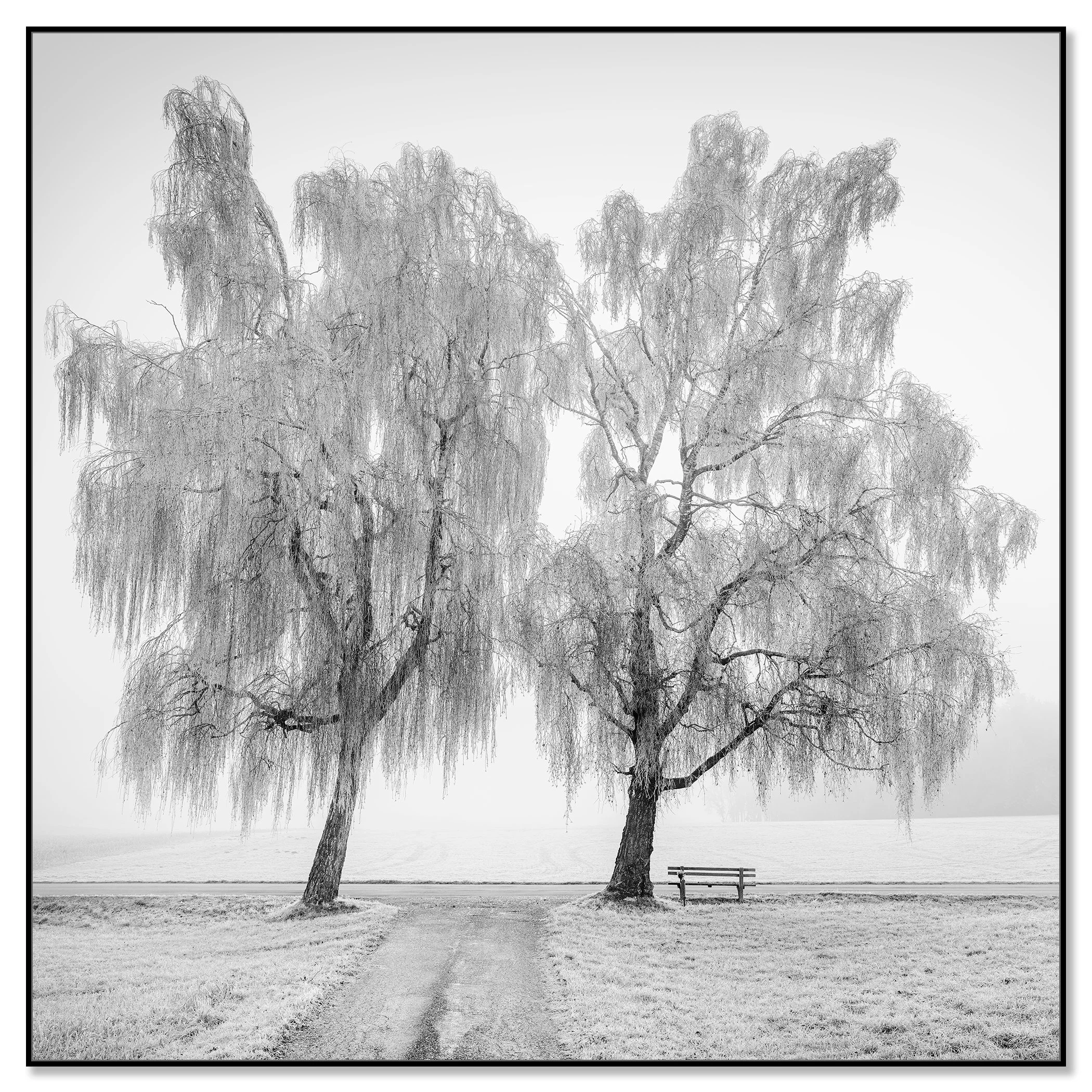 Place to Linger, Winter Study 1 – black-and-white photograph in a black aluminium ArtBox frame by Gerald Berghammer.