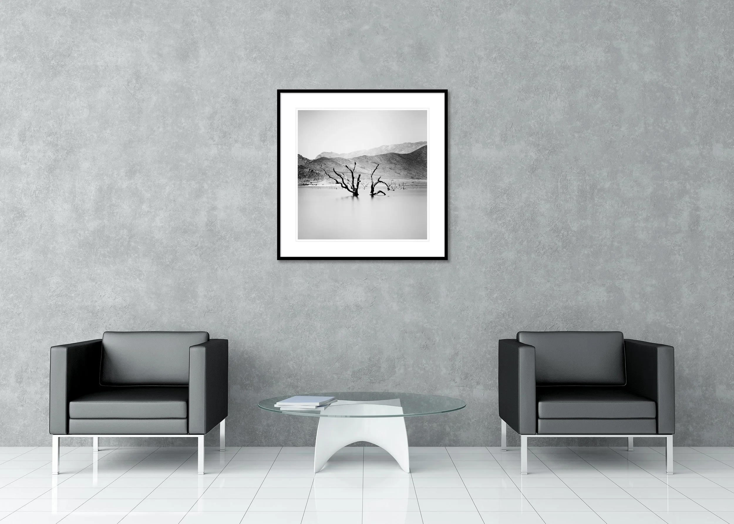 Framed classic passepartout image by Gerald Berghammer showing dead trees emerging from still water in a minimalist black and white landscape.