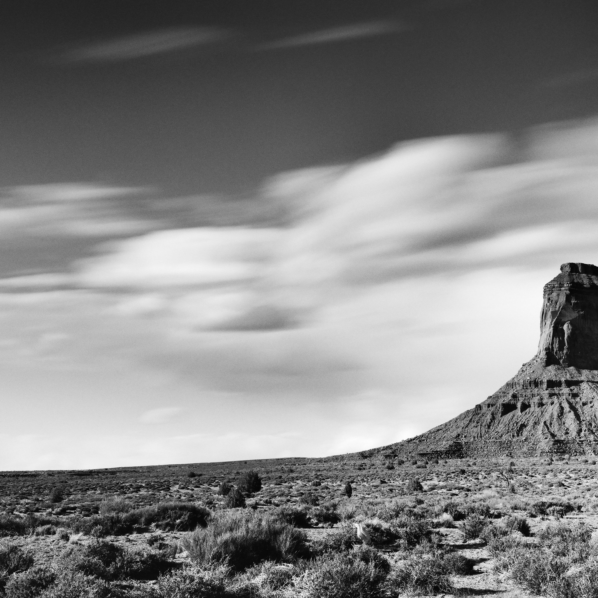 Gerald Berghammer - Black and white photography. A desert with a large flat-topped mesa and a small rock formation in the distance, under a sky with clouds. Print detail 1