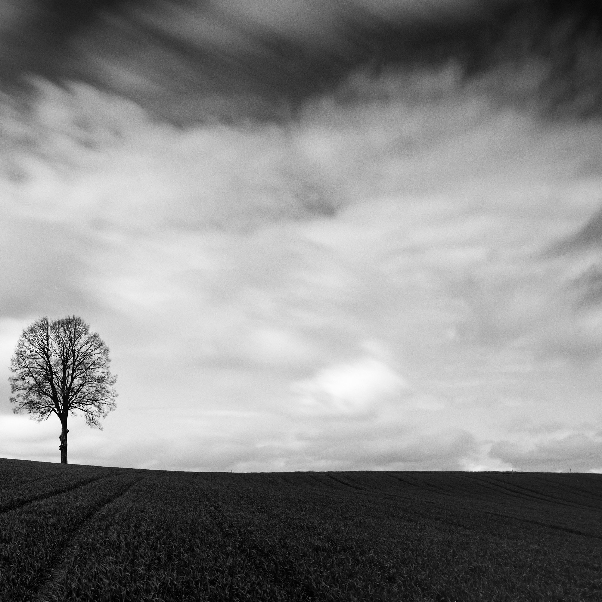 Detail of Farmland Panorama Study 1 showing rolling farmland, a solitary tree and long-exposure clouds by Gerald Berghammer.