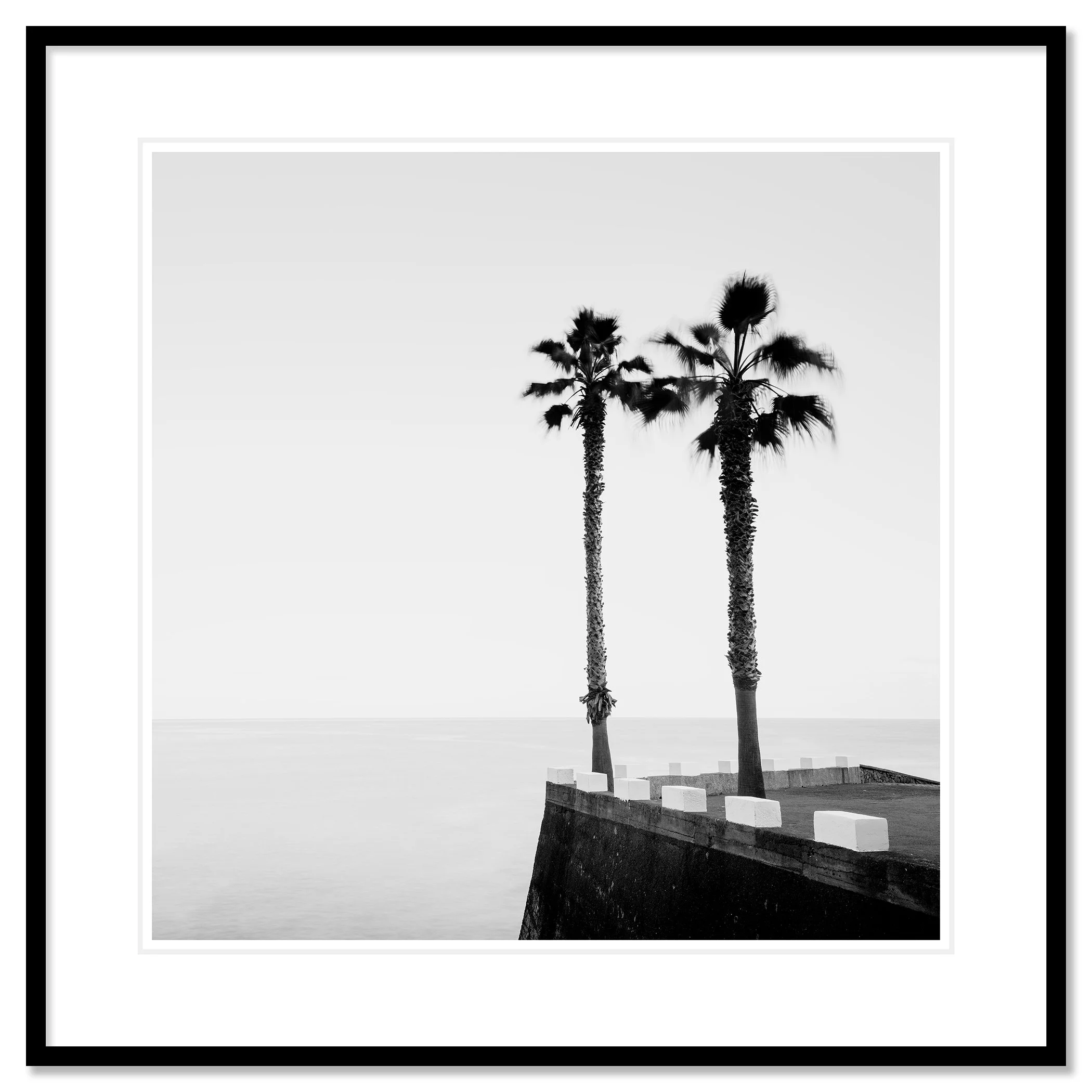 Parking Lot with Palm Trees by Gerald Berghammer, archival pigment print in a black aluminium frame with white mount.